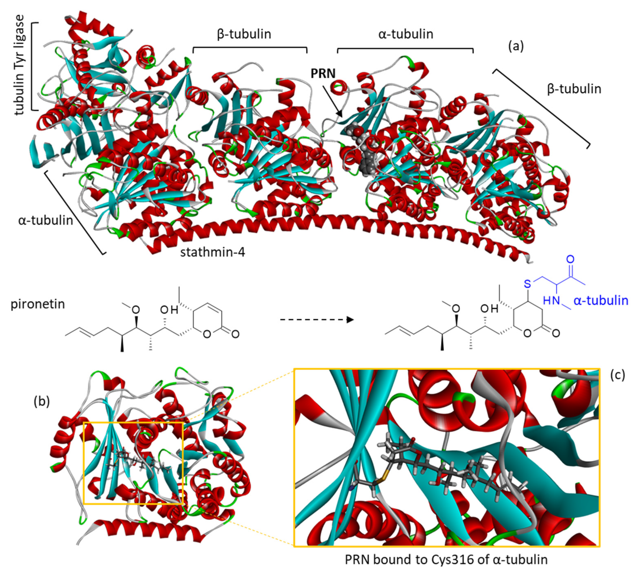 Plants 12 00296 g001 Plants 12 00296 g001