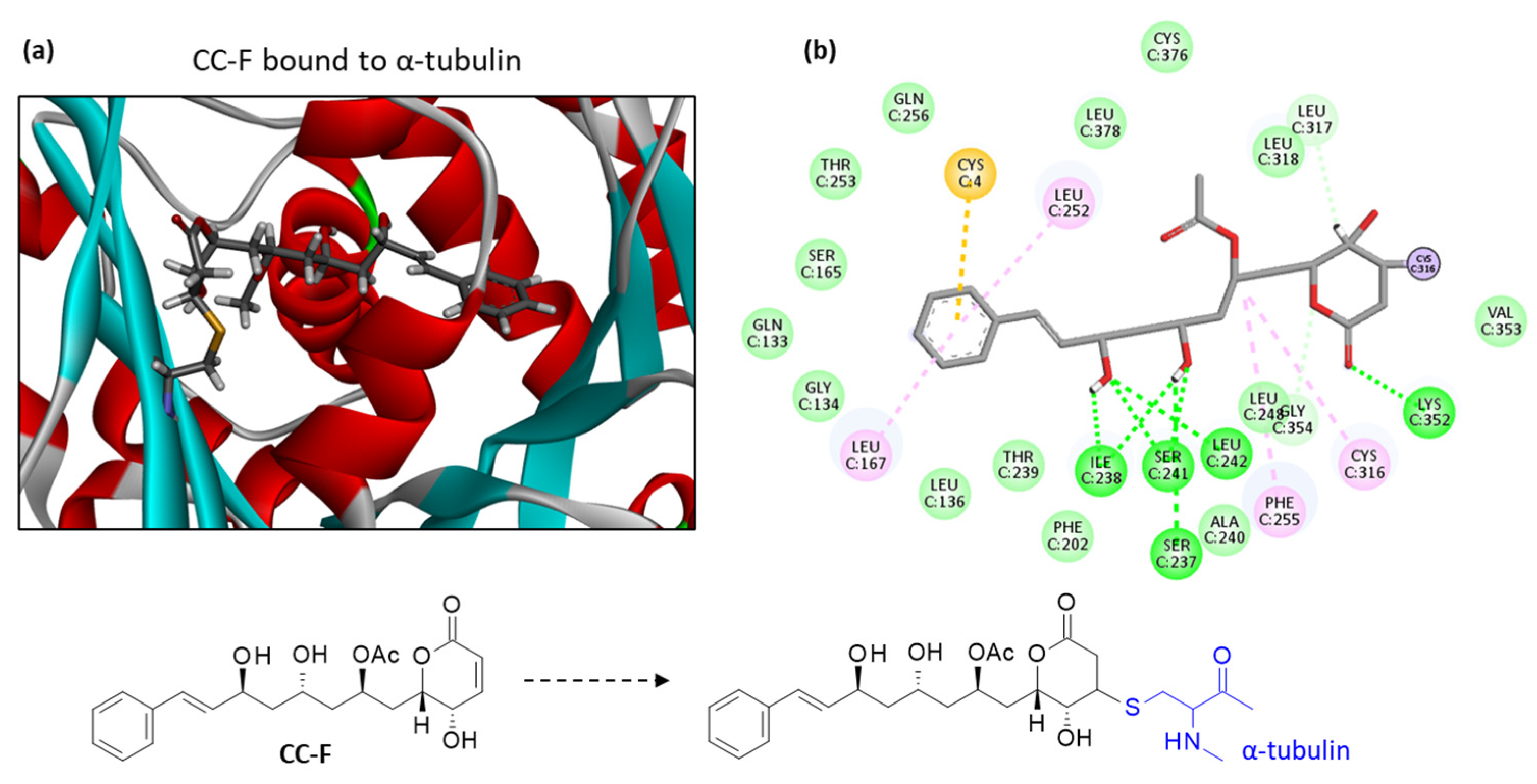 Plants 12 00296 g004 Plants 12 00296 g004