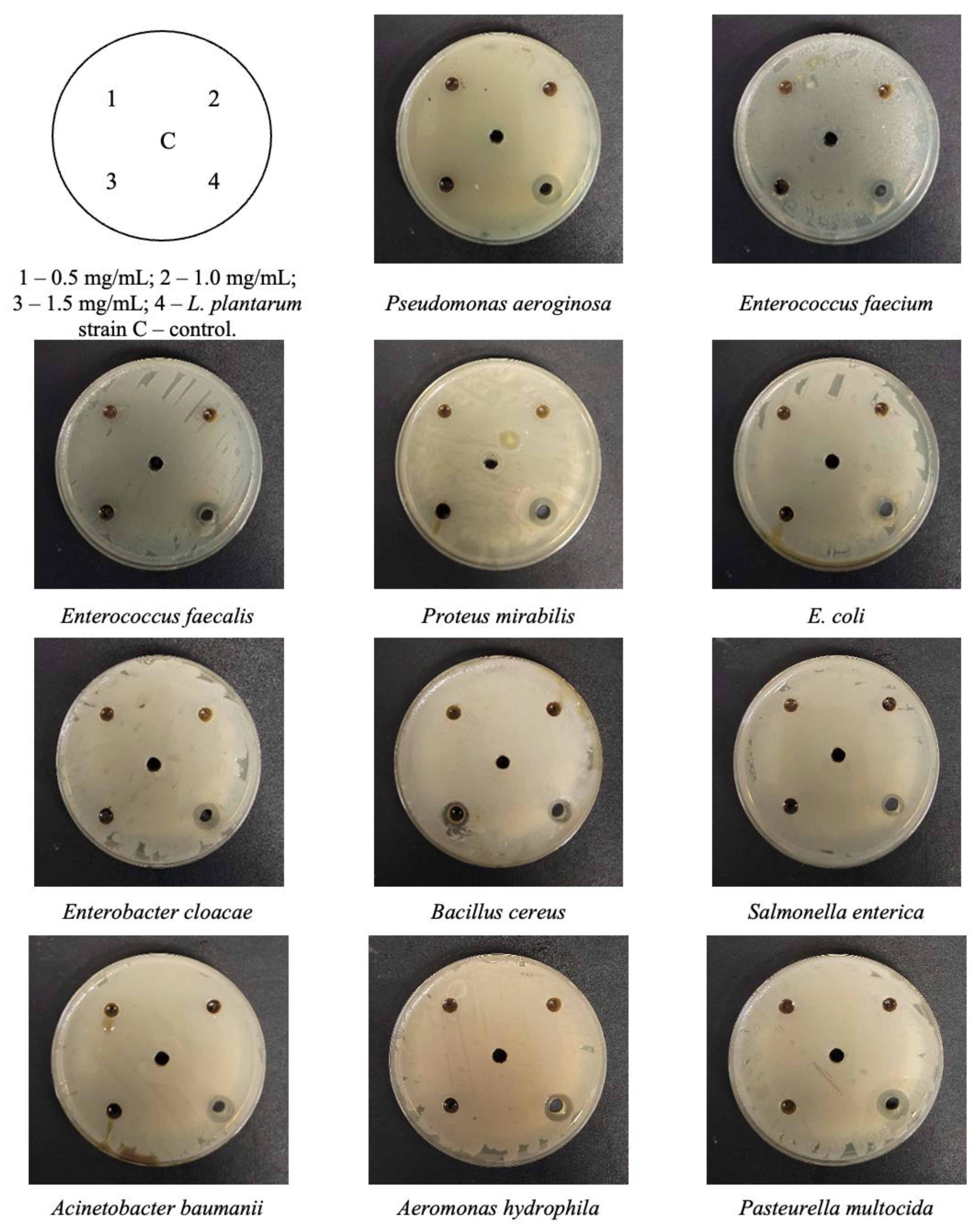 Plants 12 00297 g001 Plants 12 00297 g001