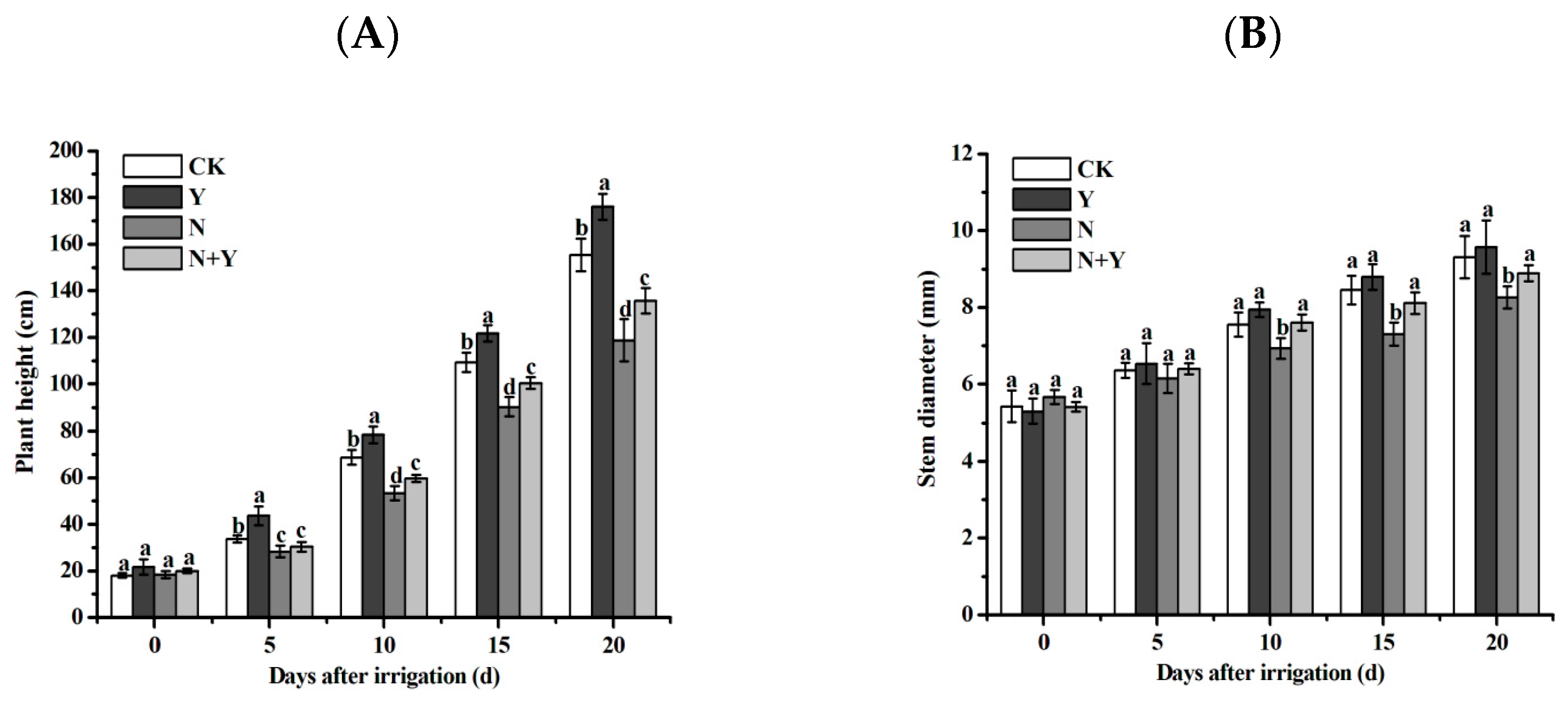 Plants 12 00298 g001