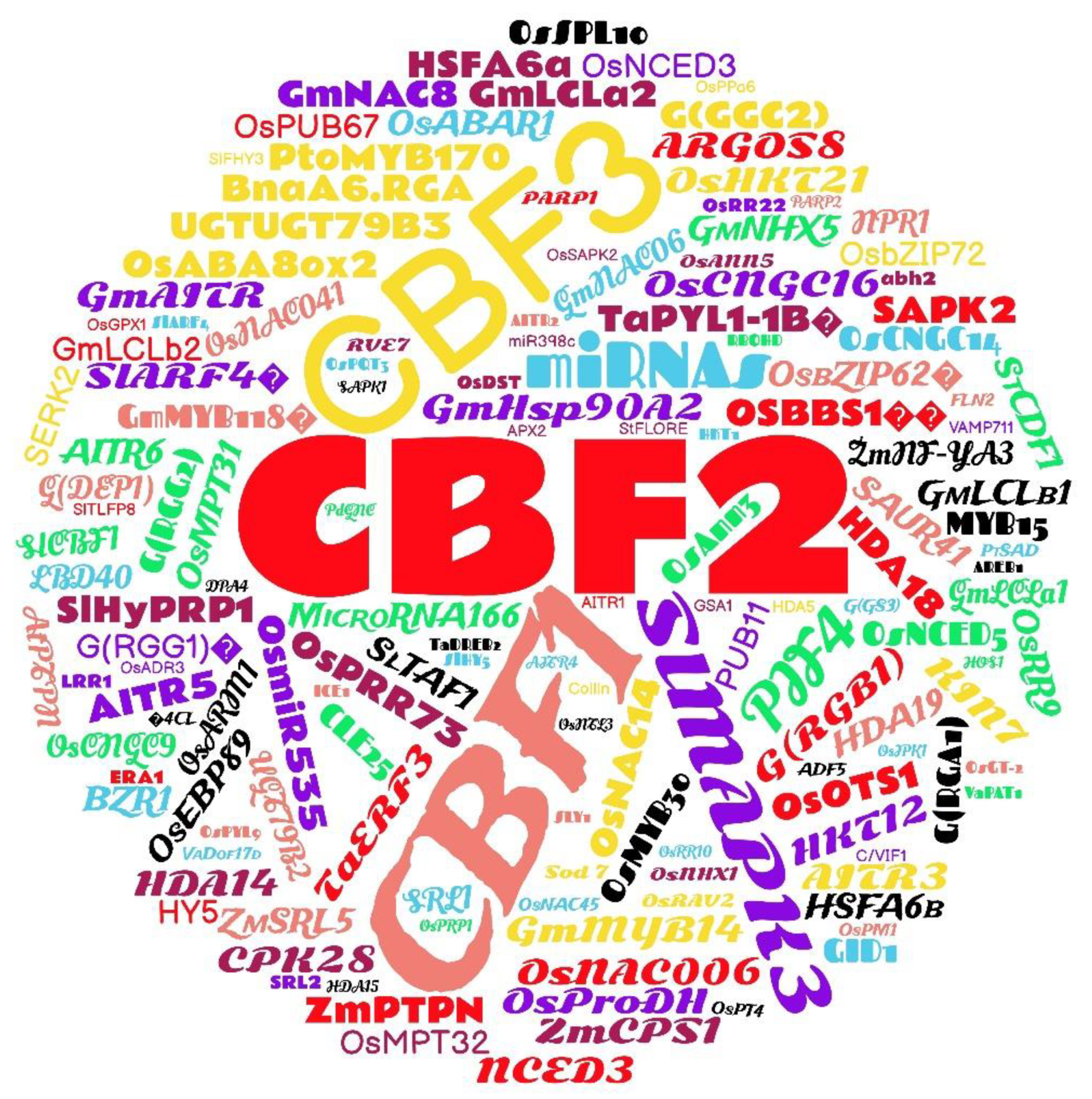 Plants 12 00305 g007 Plants 12 00305 g007