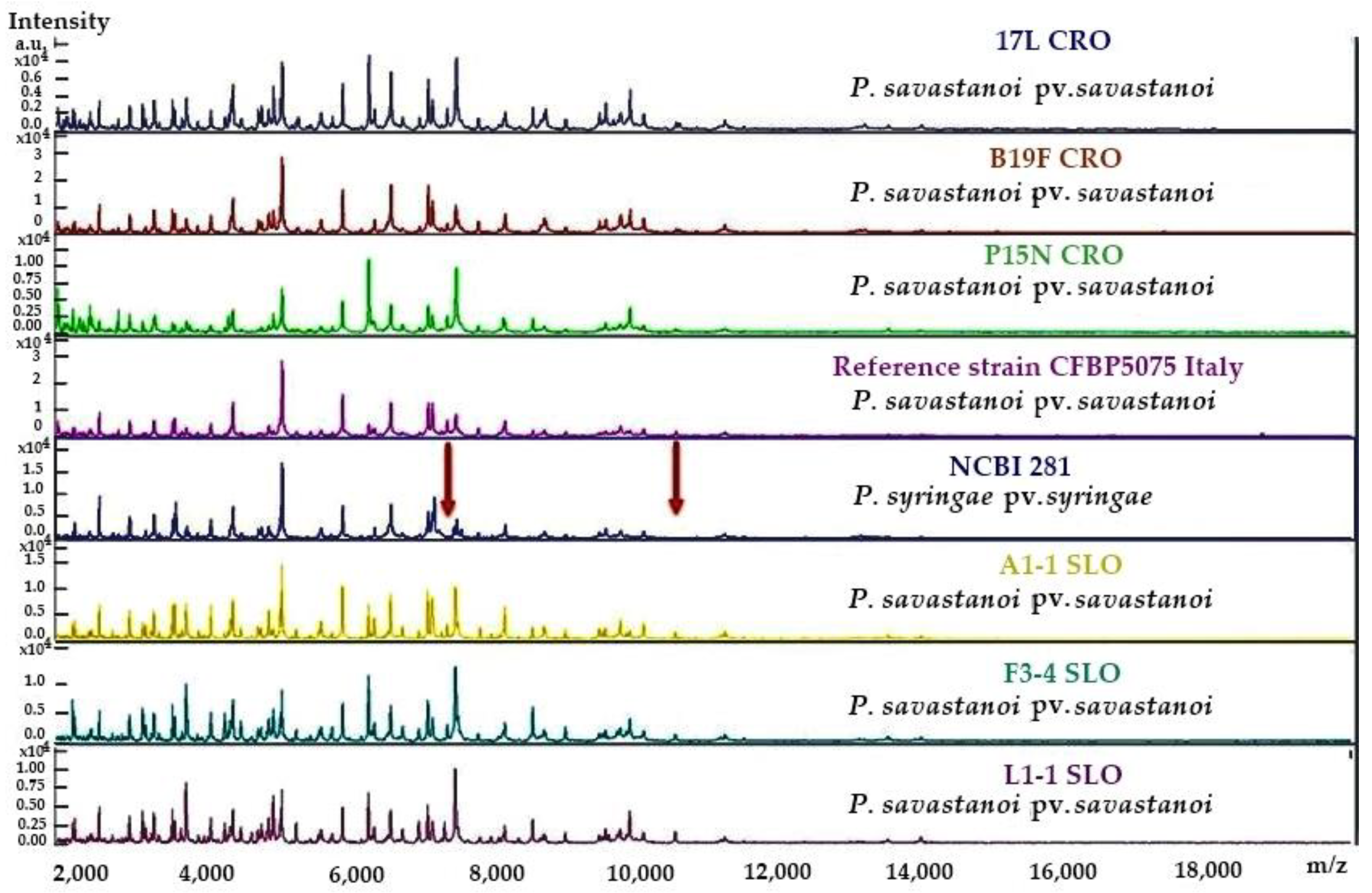 Plants 12 00307 g001 Plants 12 00307 g001