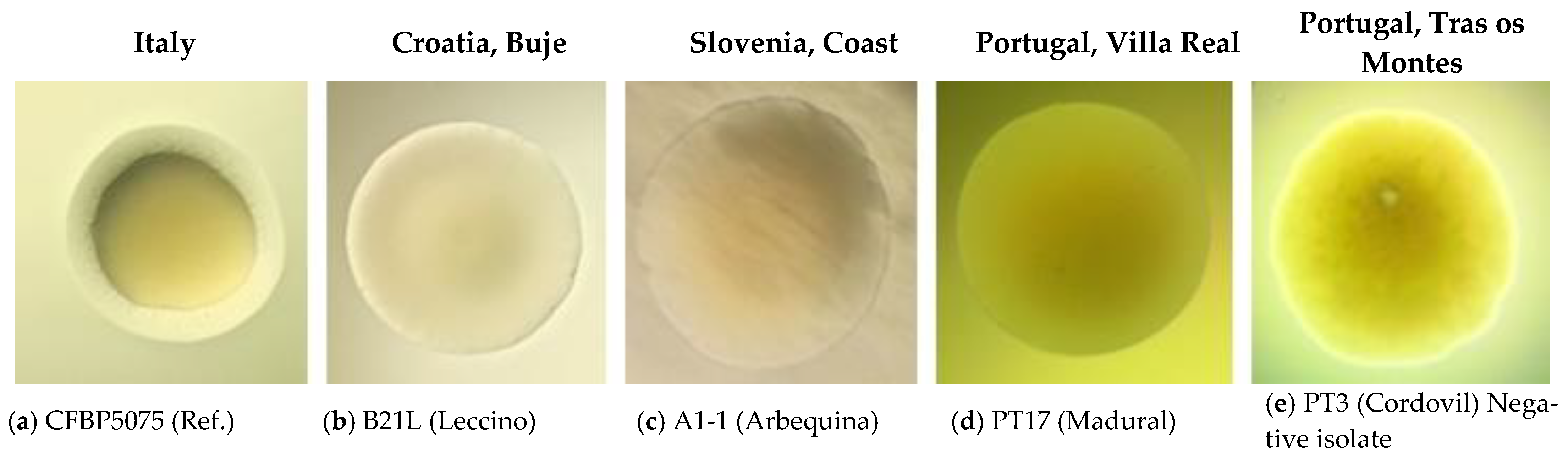 Plants 12 00307 g002 Plants 12 00307 g002