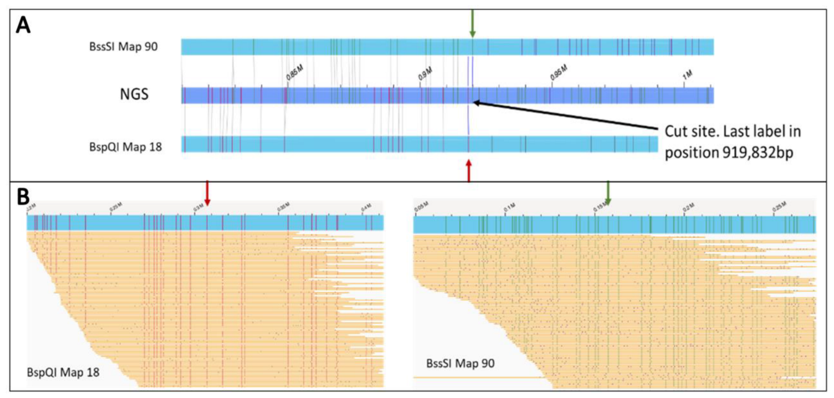 Plants 12 00320 g001