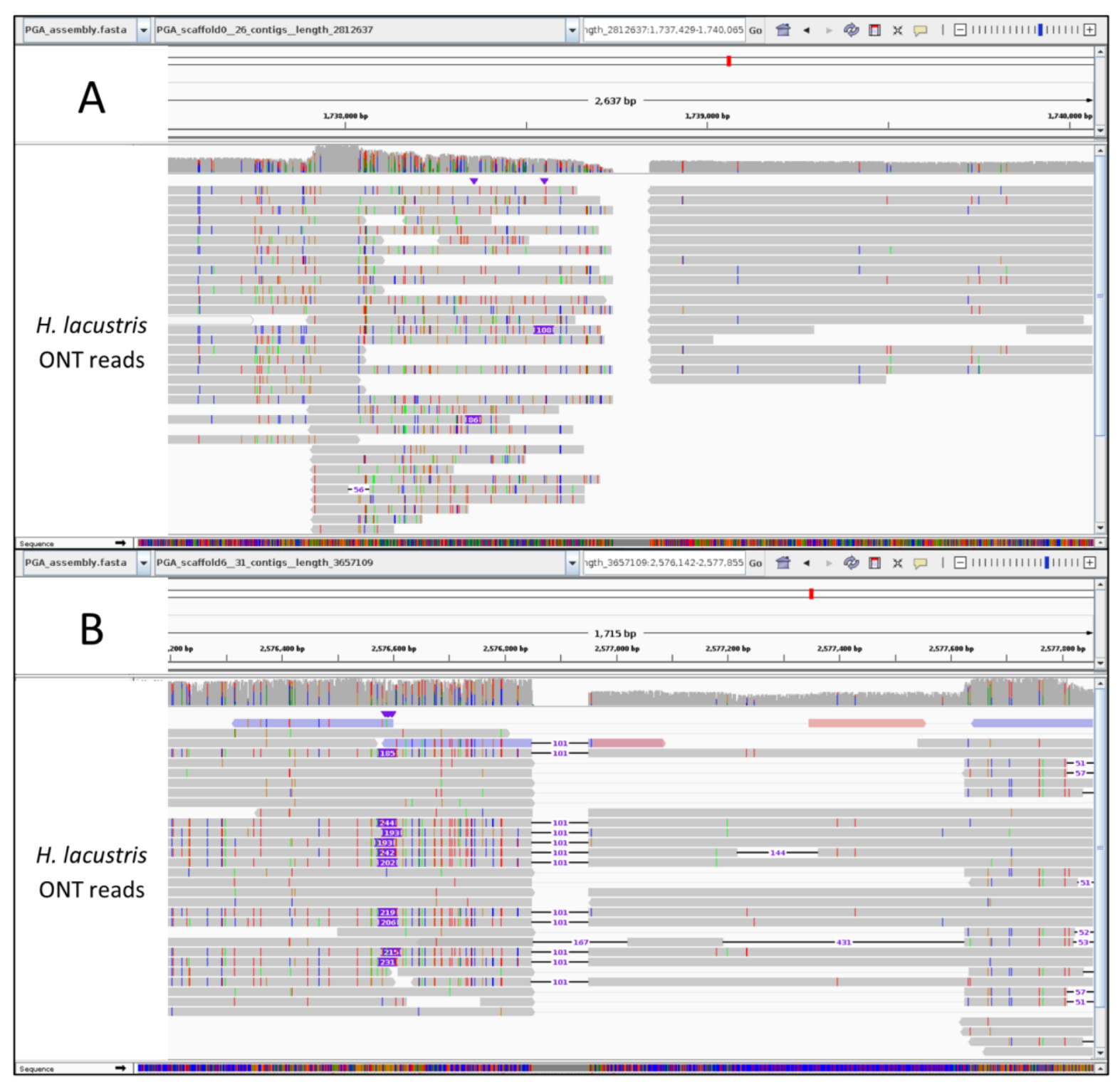 Plants 12 00320 g002