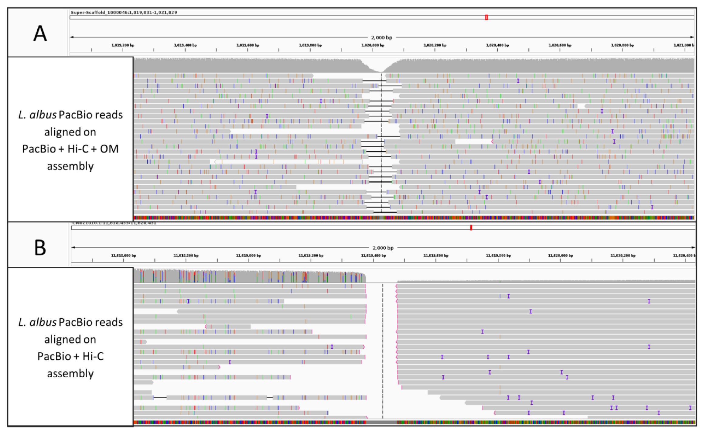 Plants 12 00320 g003
