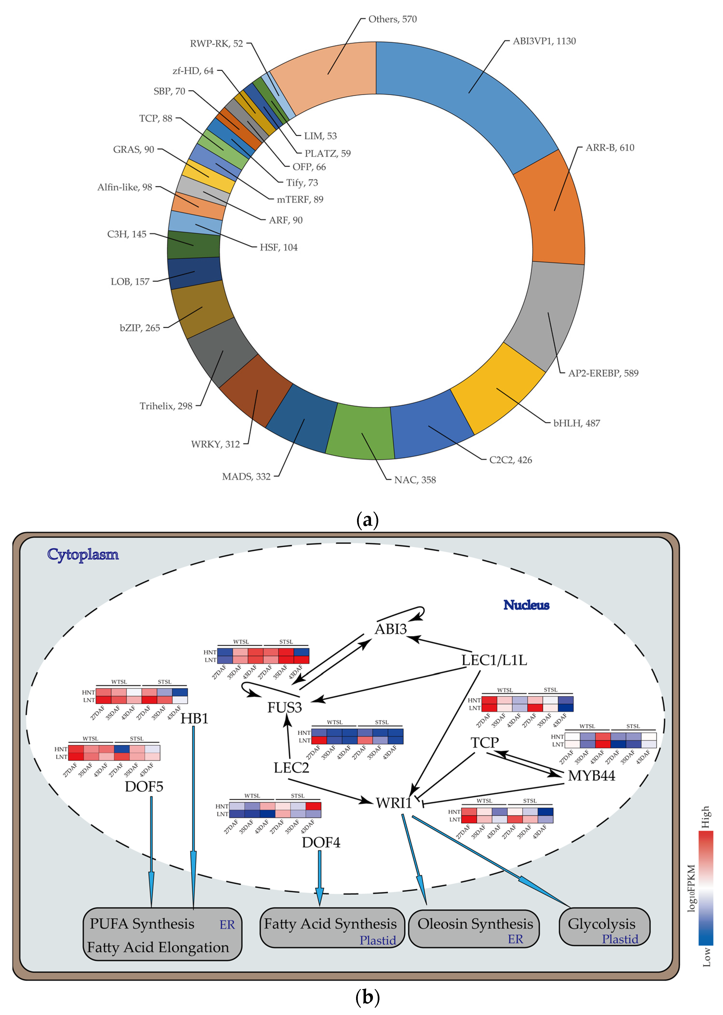 Plants 12 00325 g005 Plants 12 00325 g005