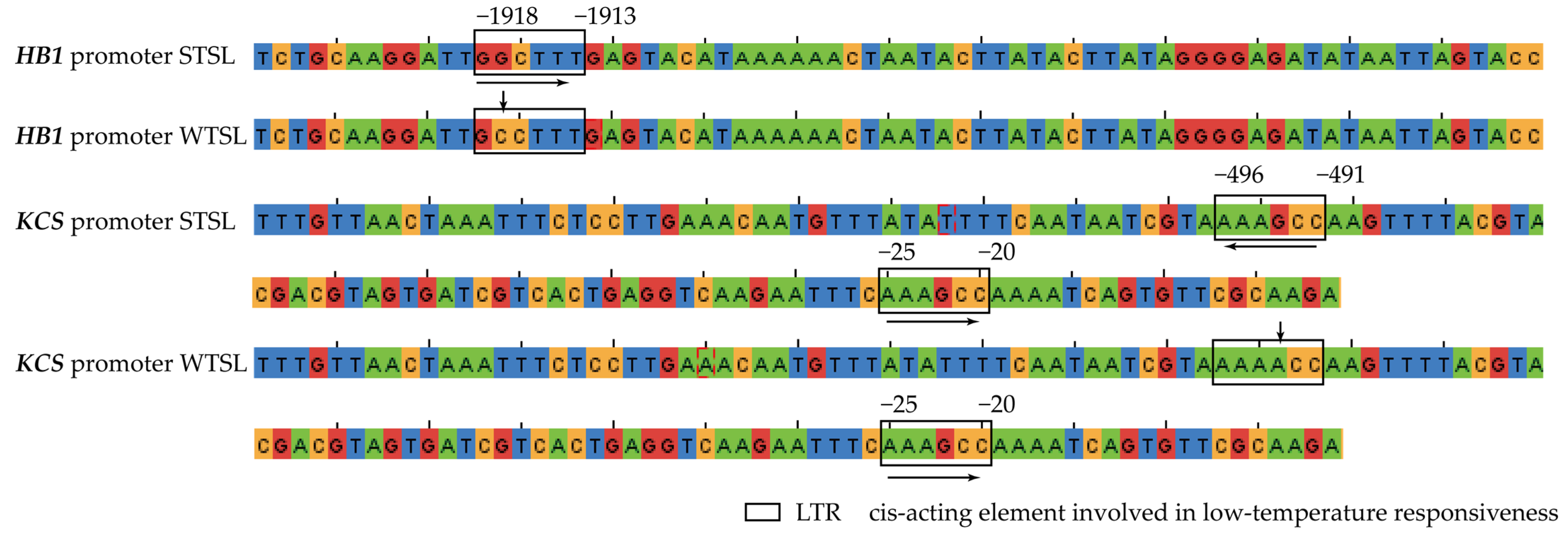 Plants 12 00325 g007 Plants 12 00325 g007