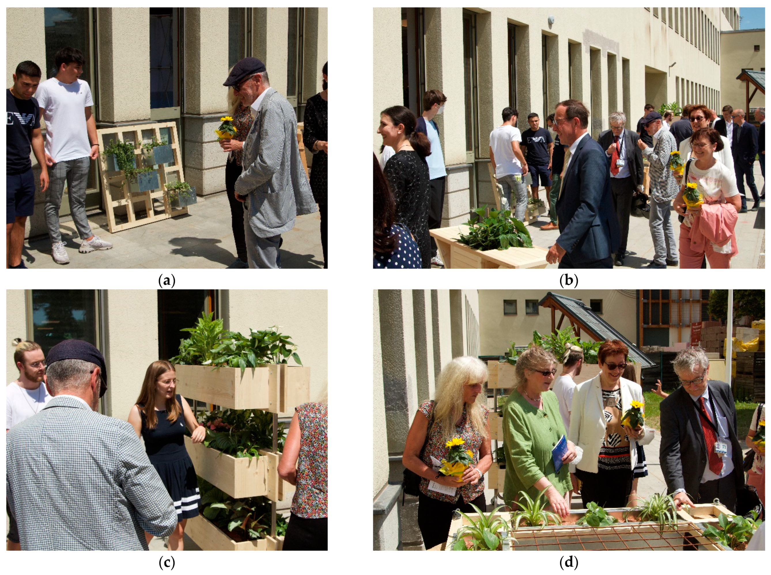 Plants 12 00327 g003