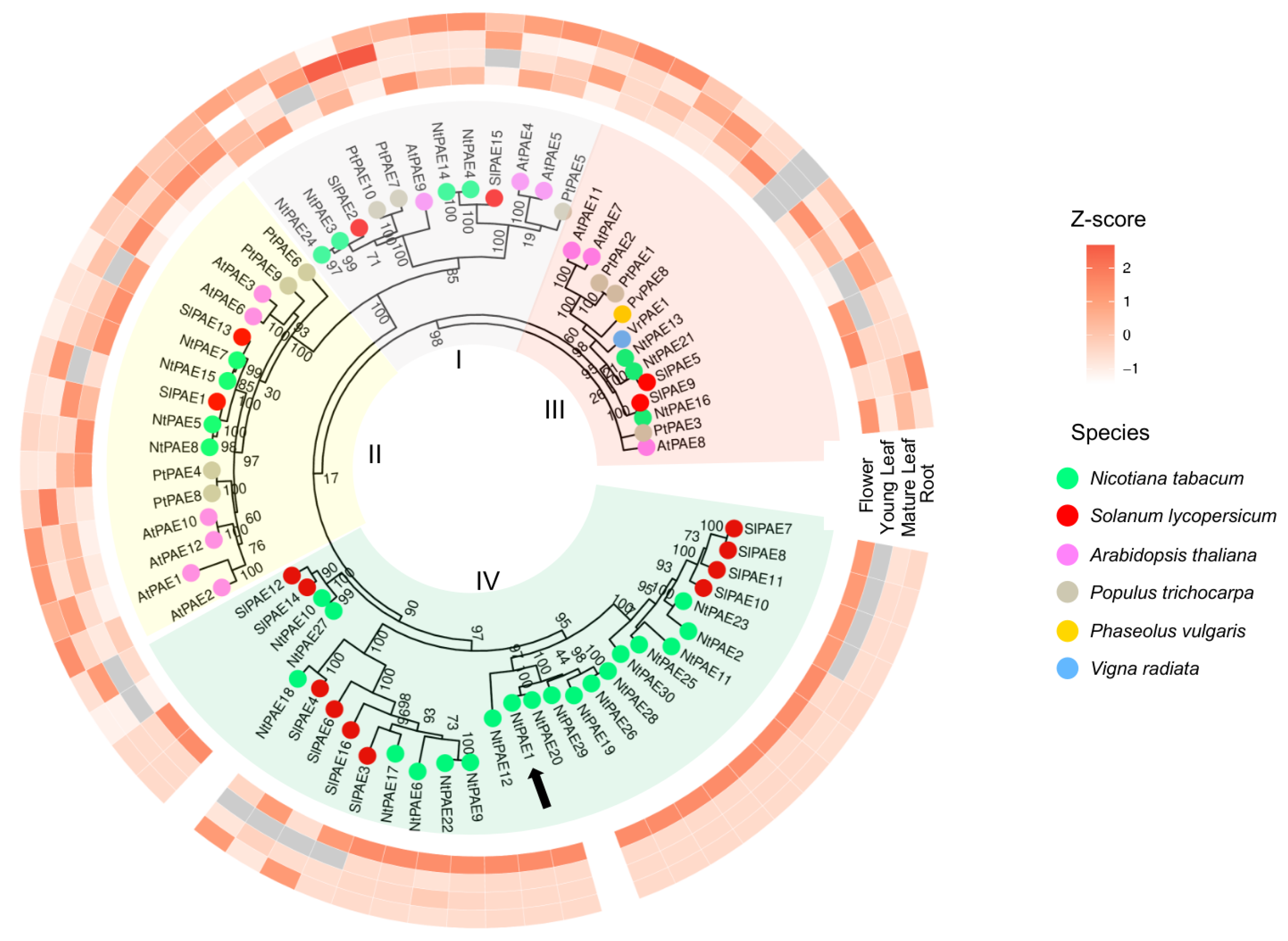 Plants 12 00329 g002