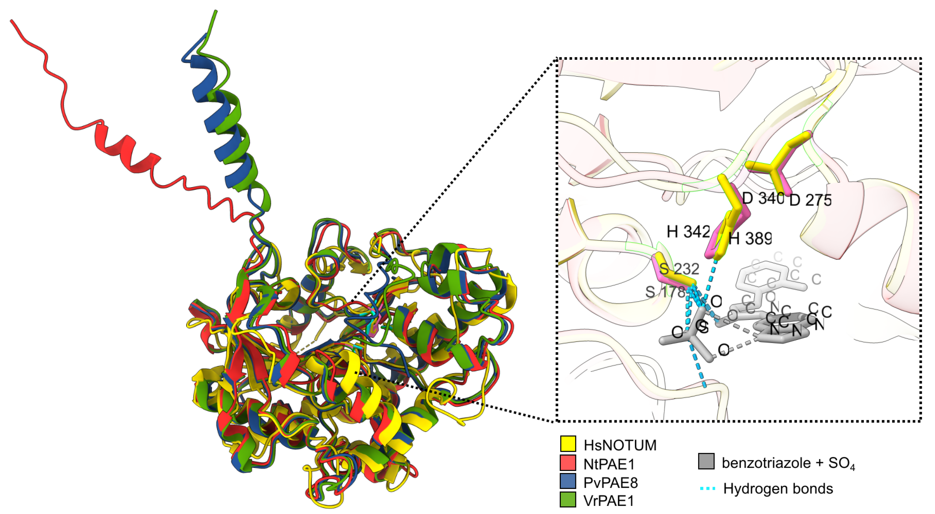 Plants 12 00329 g003