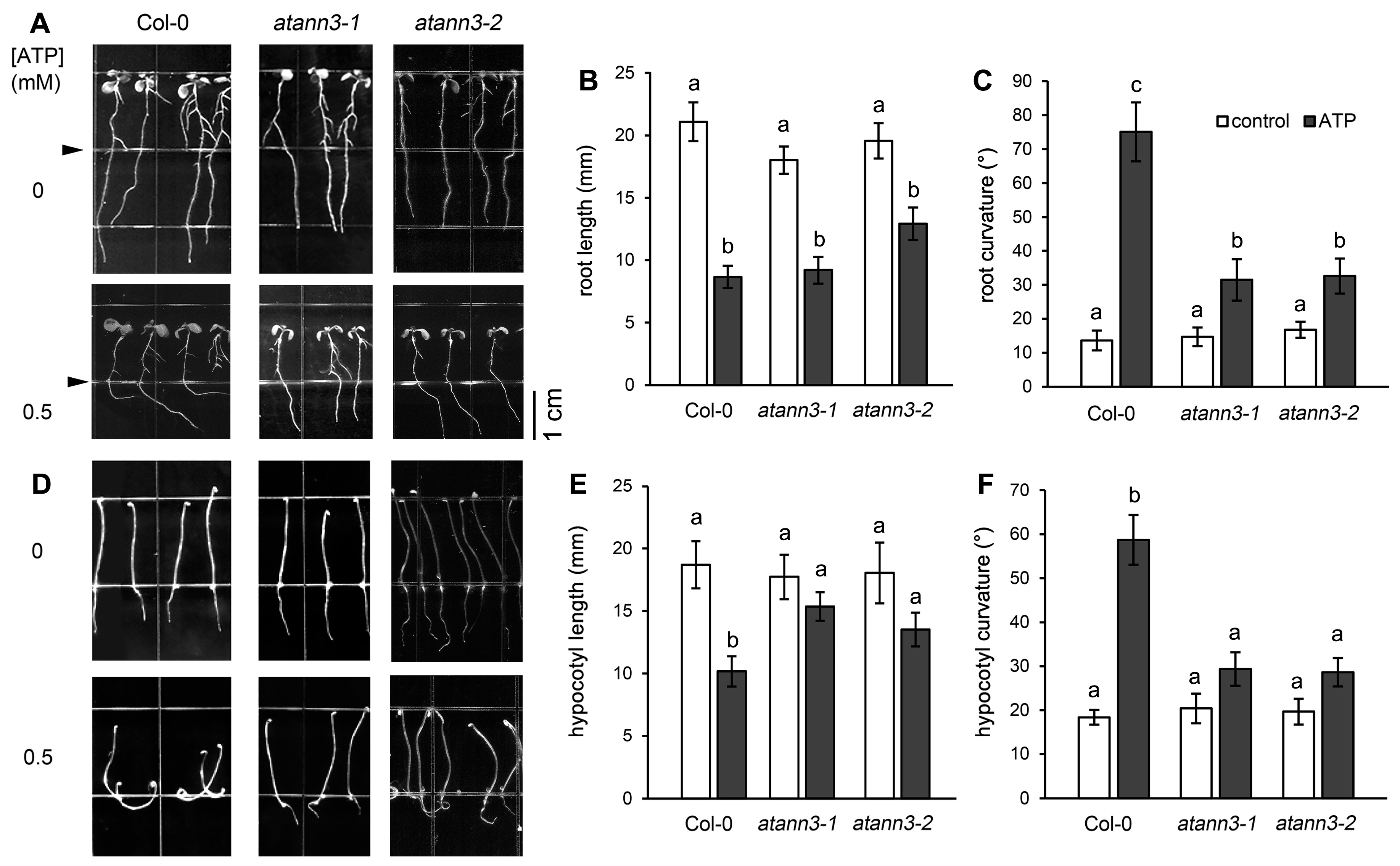 Plants 12 00330 g001 Plants 12 00330 g001