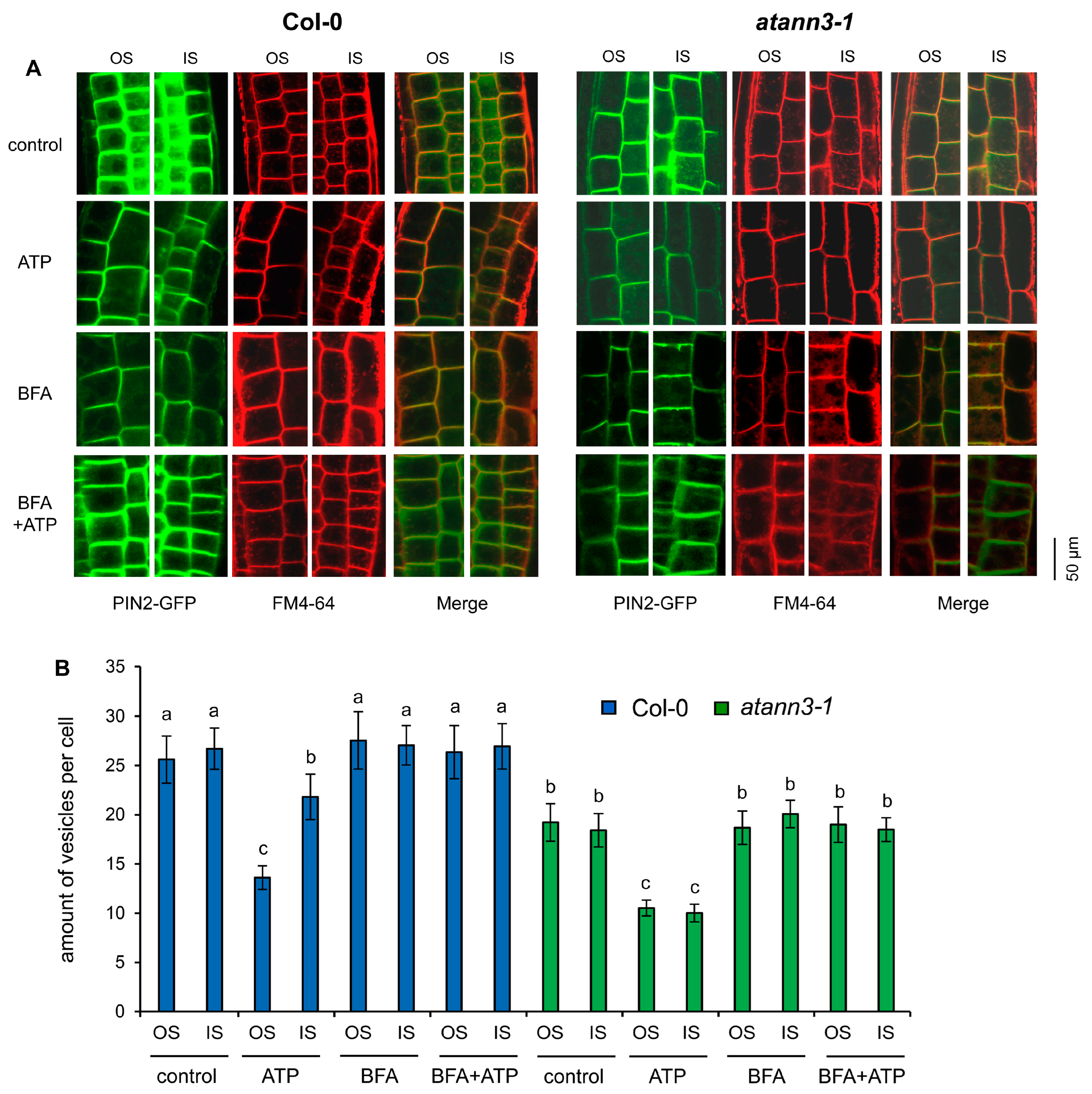 Plants 12 00330 g006 Plants 12 00330 g006