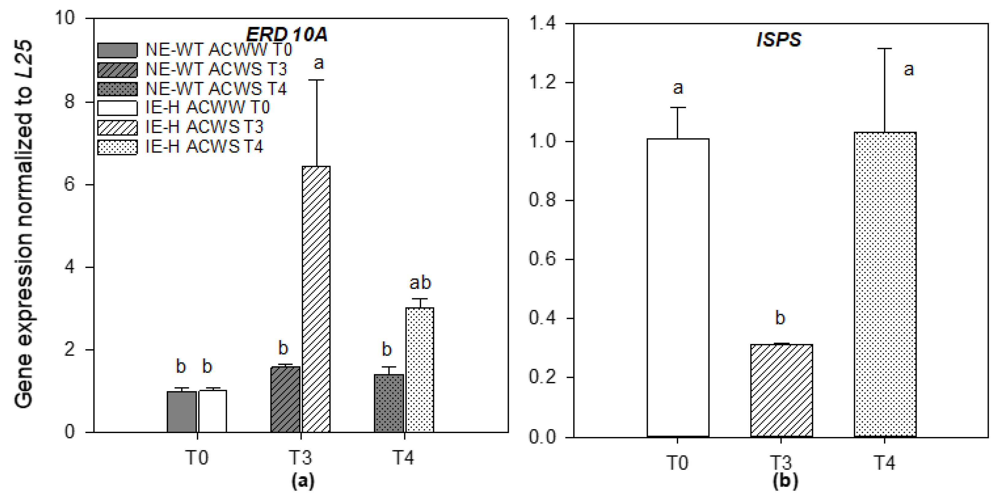 Plants 12 00333 g003