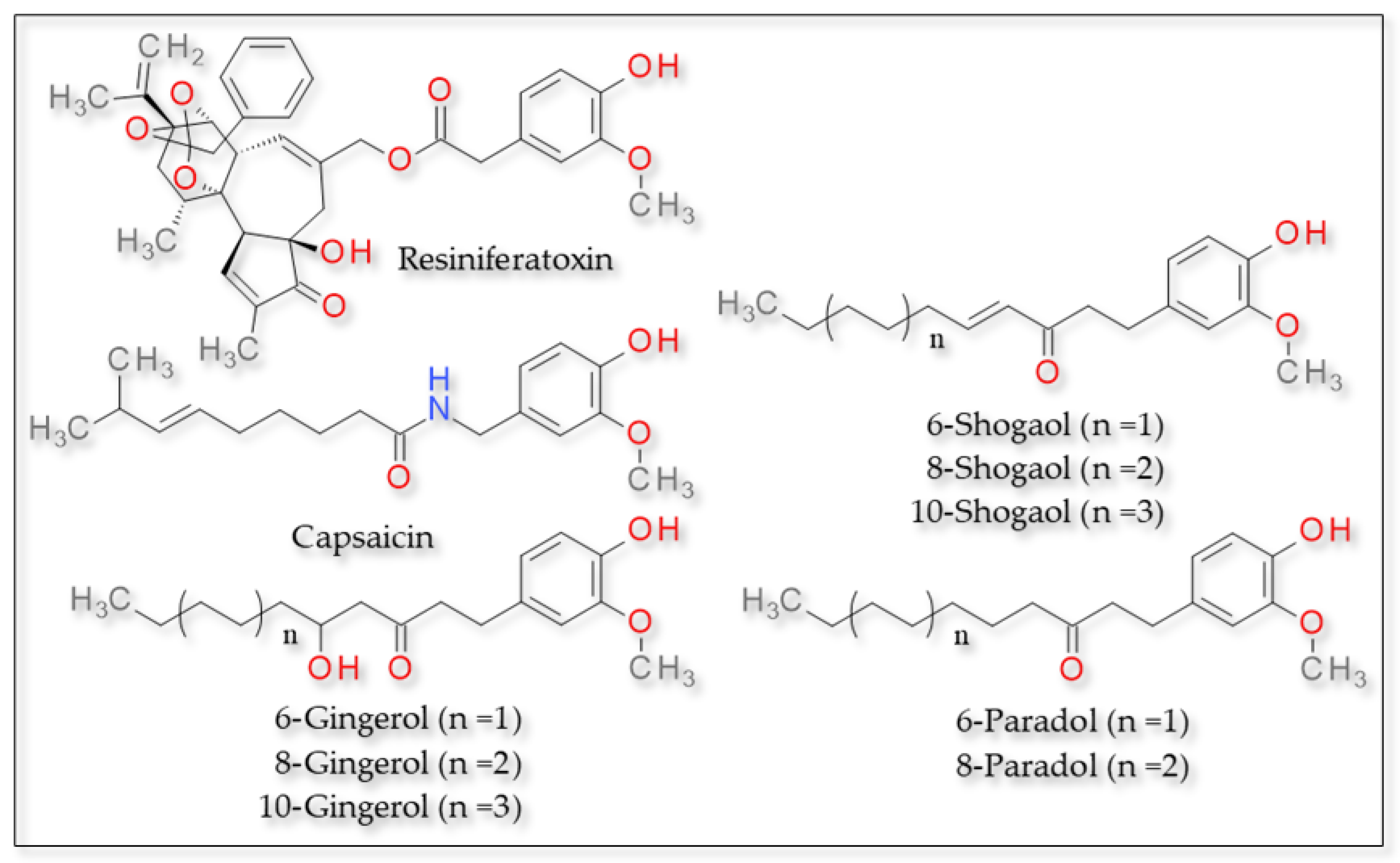 Plants 12 00339 g002 Plants 12 00339 g002