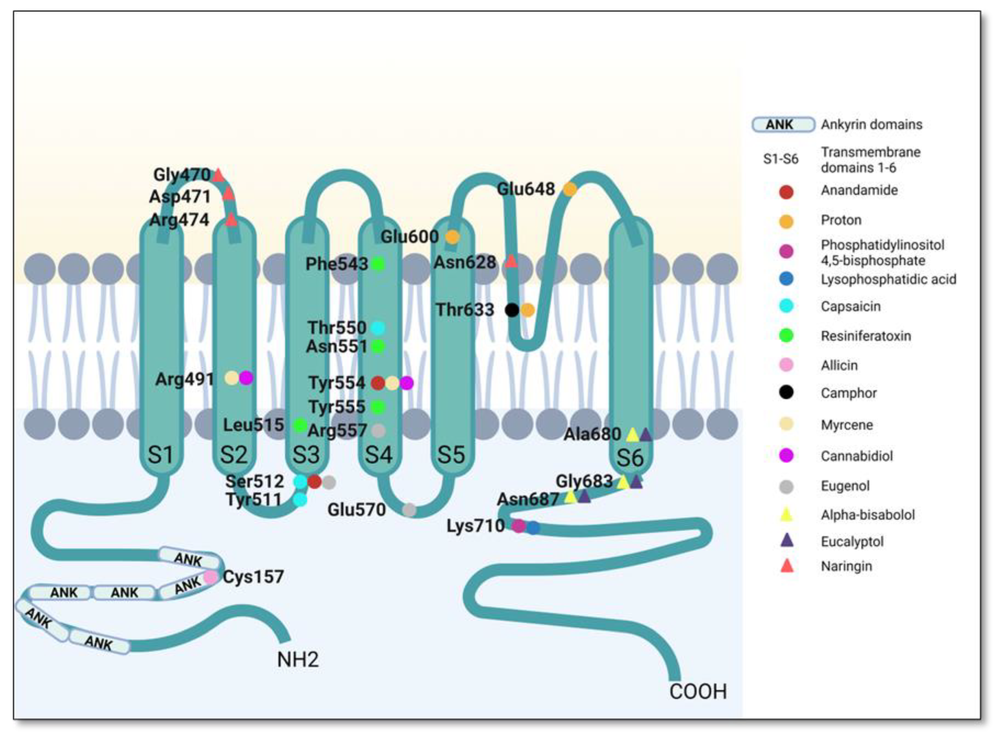 Plants 12 00339 g006 Plants 12 00339 g006
