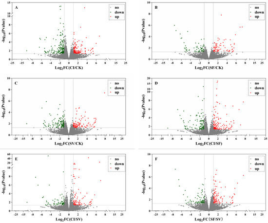 【yt】 Punk Shot (JP) Punk Shot (JP) - World of Longplays