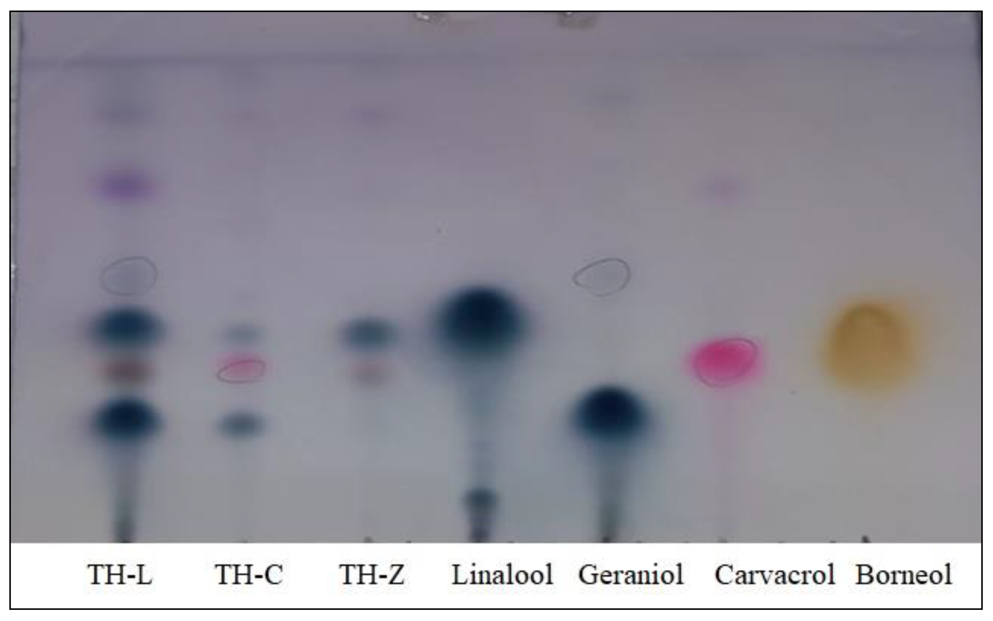 Plants 12 00348 g004 Plants 12 00348 g004