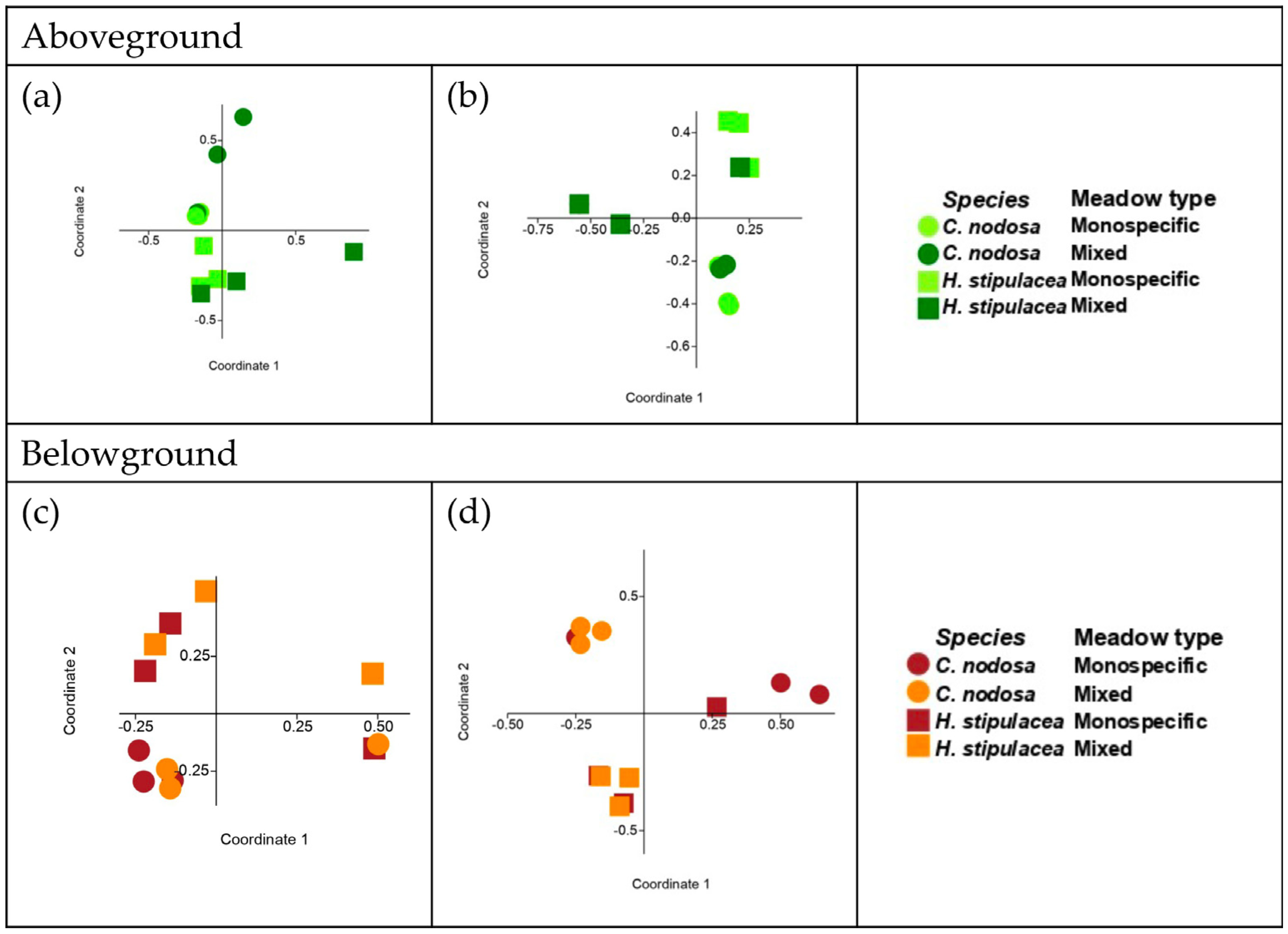 Plants 12 00350 g001 Plants 12 00350 g001