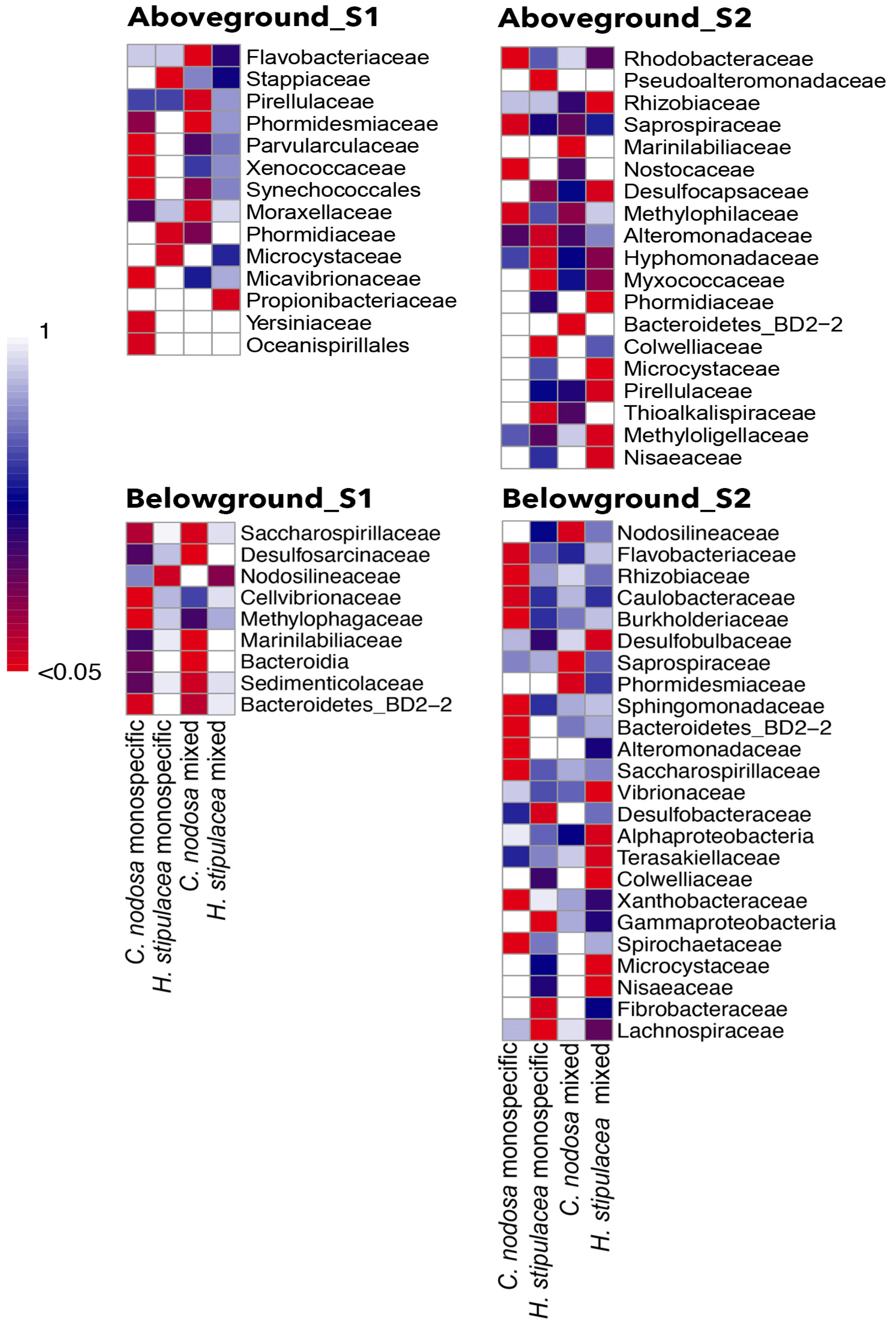 Plants 12 00350 g003 Plants 12 00350 g003