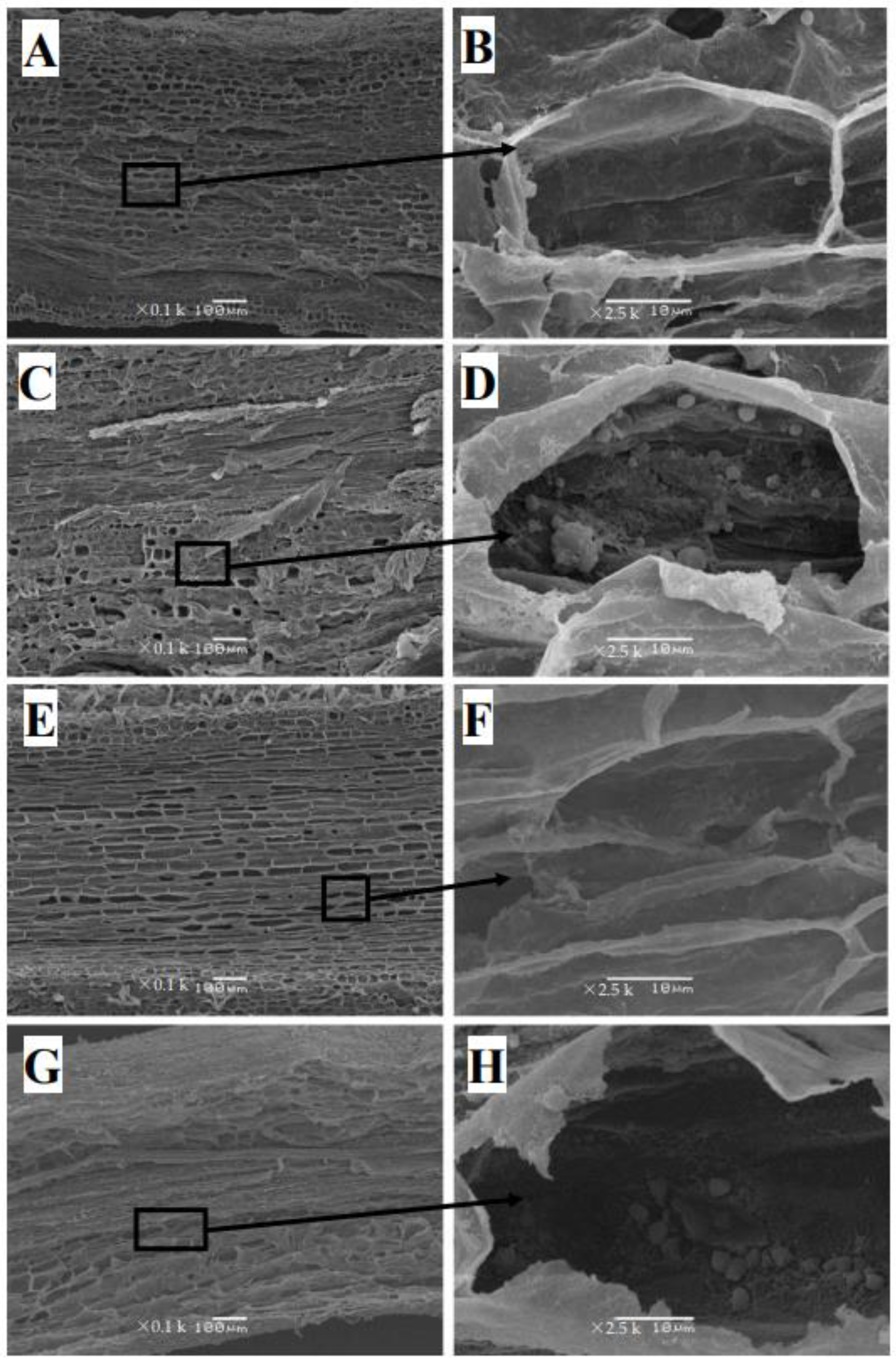 Plants 12 00351 g003