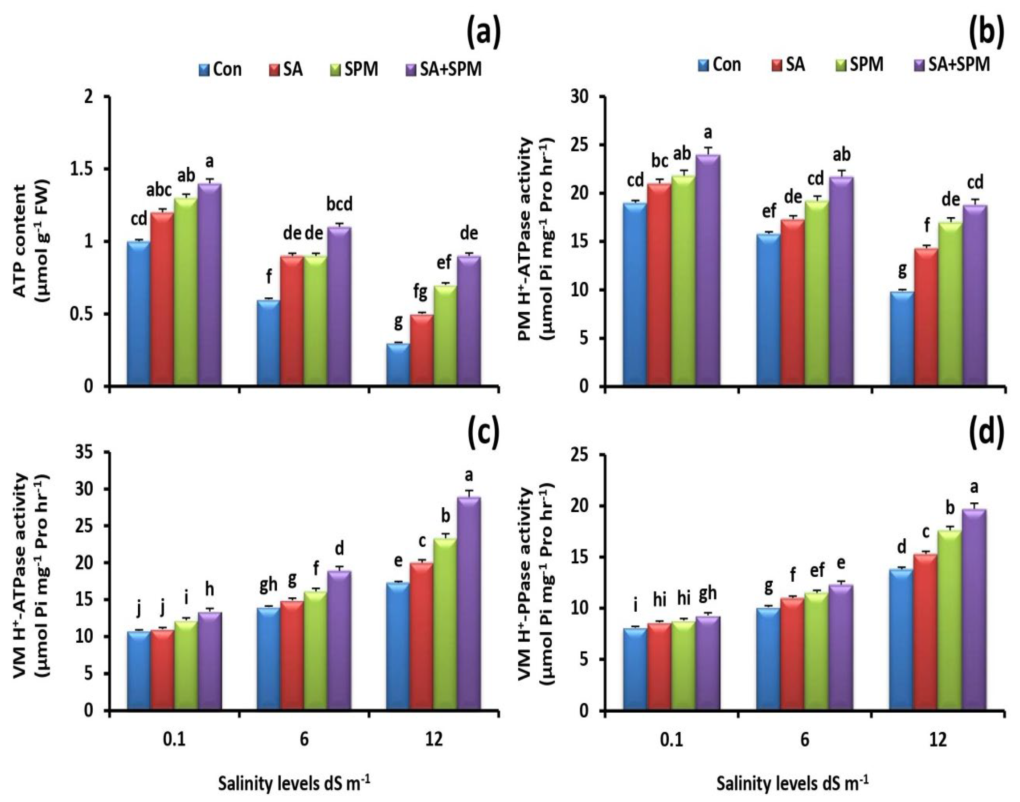 Plants 12 00352 g004 Plants 12 00352 g004