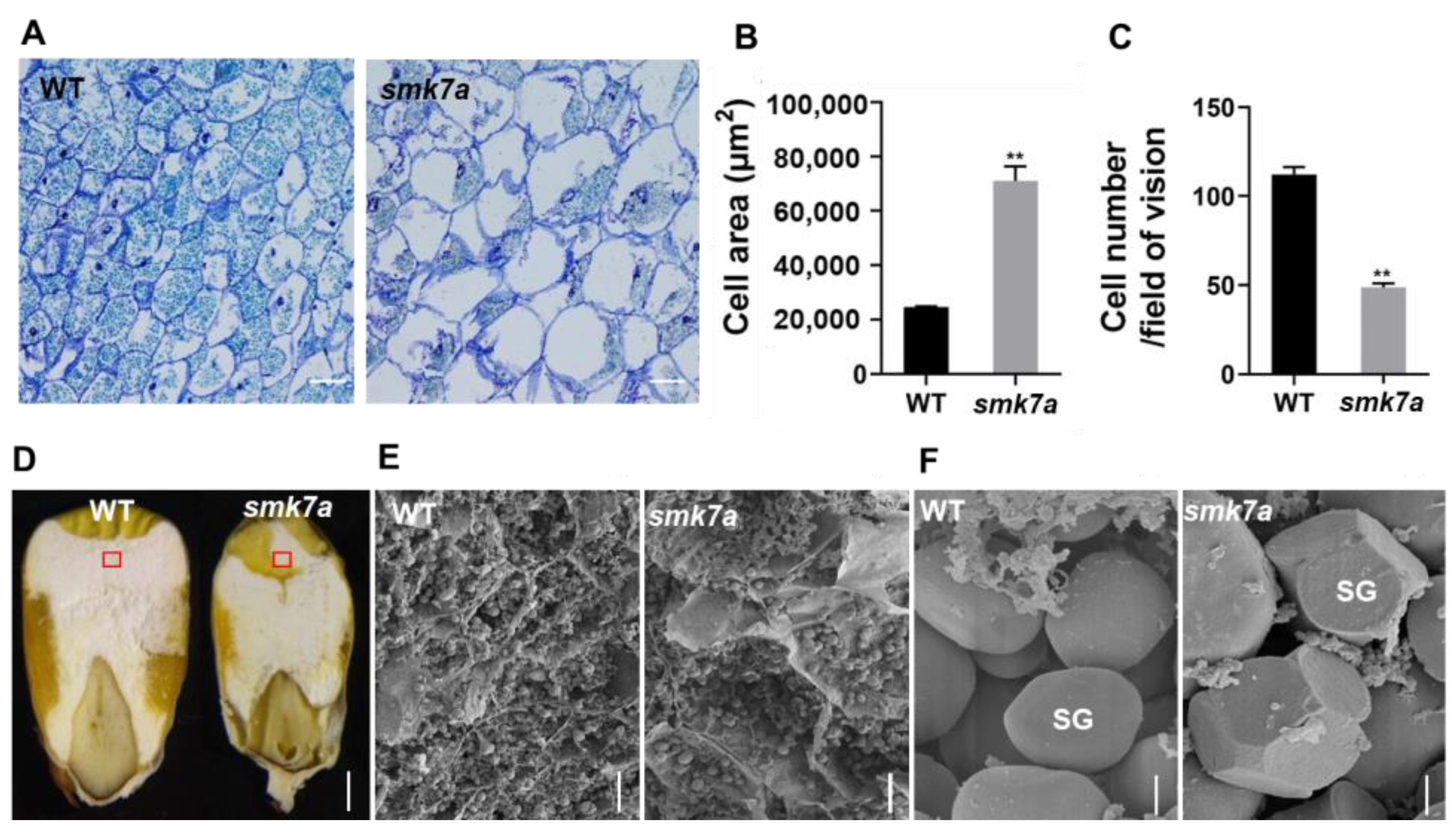 Plants 12 00354 g002 Plants 12 00354 g002