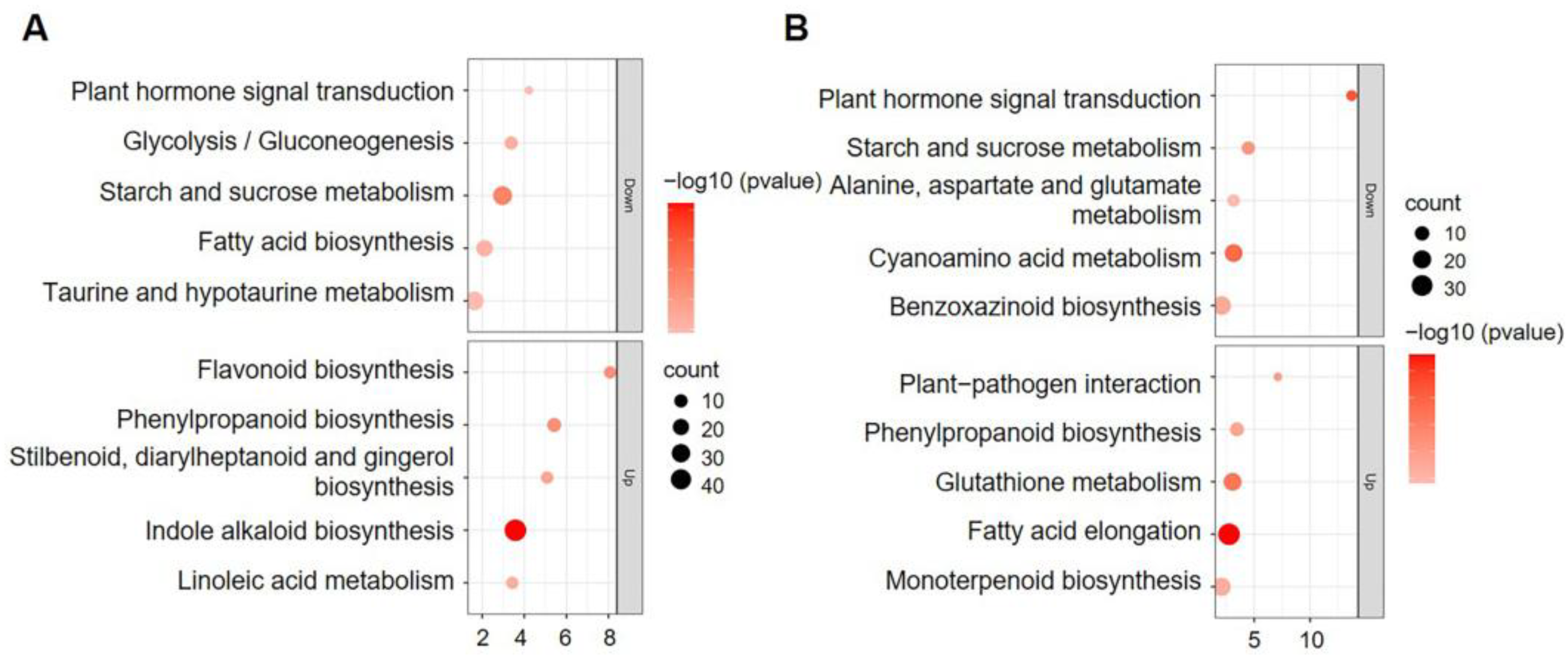 Plants 12 00354 g004 Plants 12 00354 g004