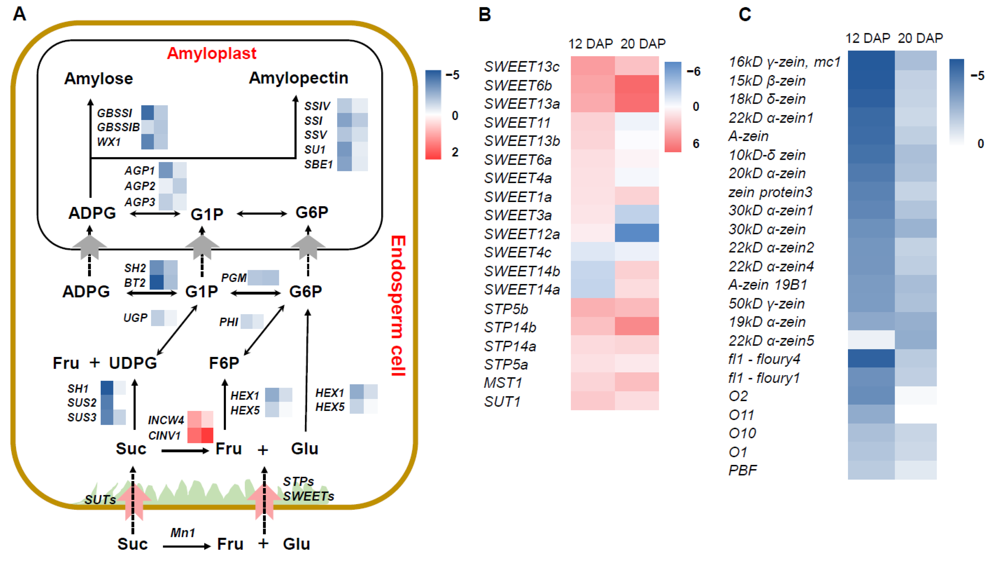 Plants 12 00354 g005 Plants 12 00354 g005
