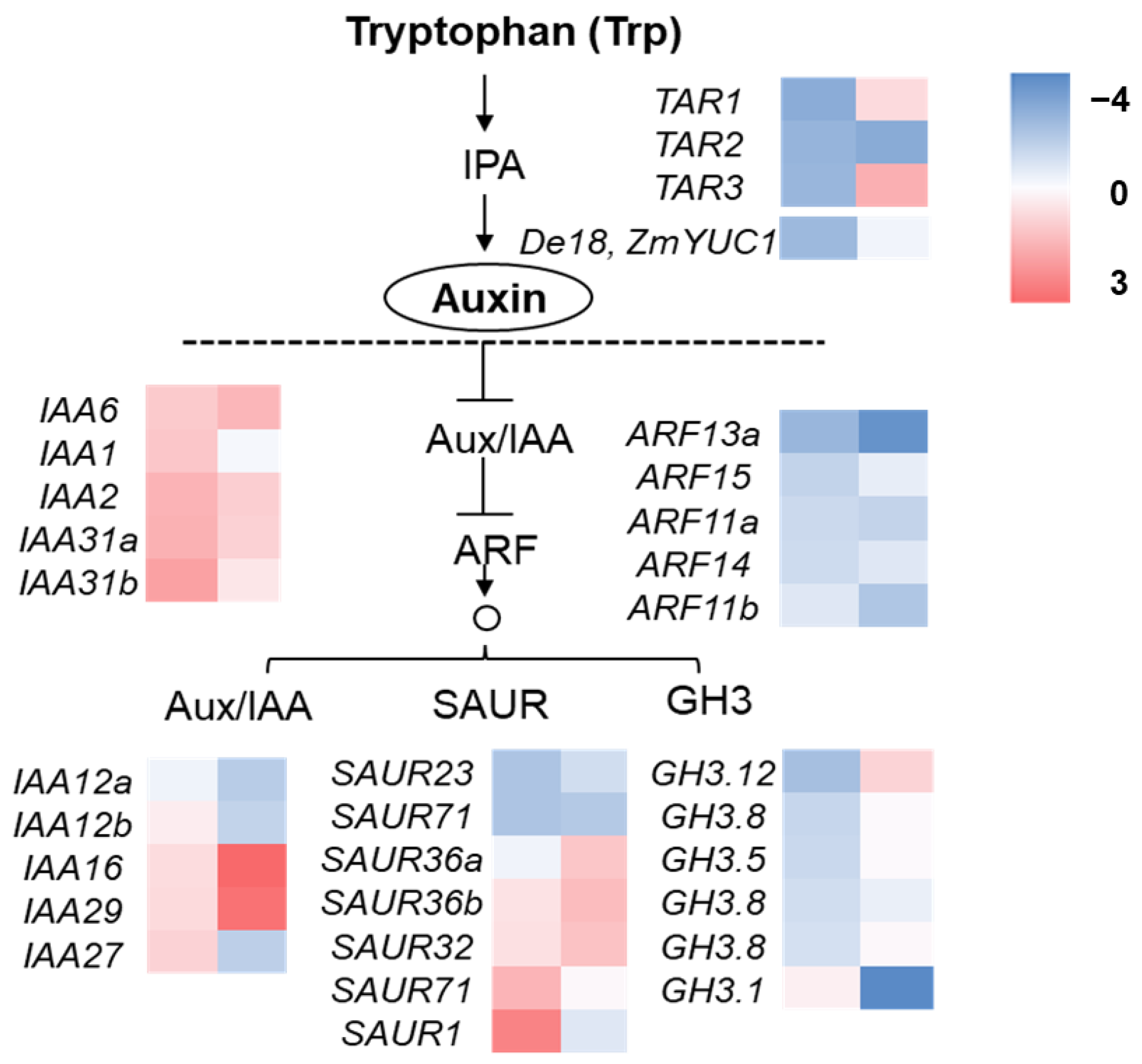 Plants 12 00354 g006 Plants 12 00354 g006
