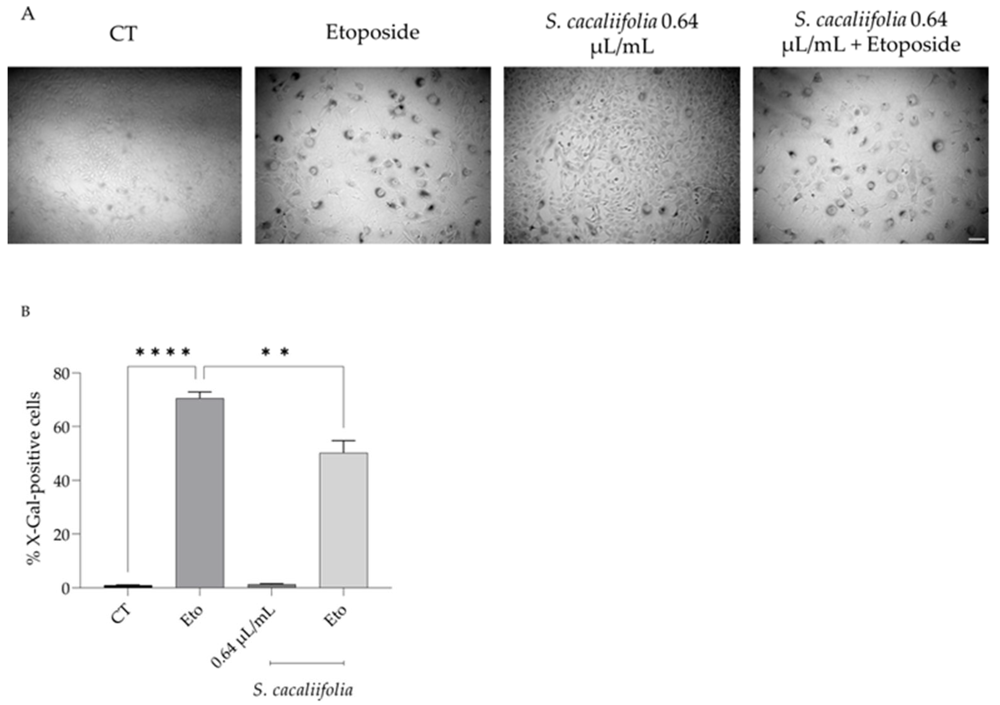 Plants 12 00359 g004 Plants 12 00359 g004