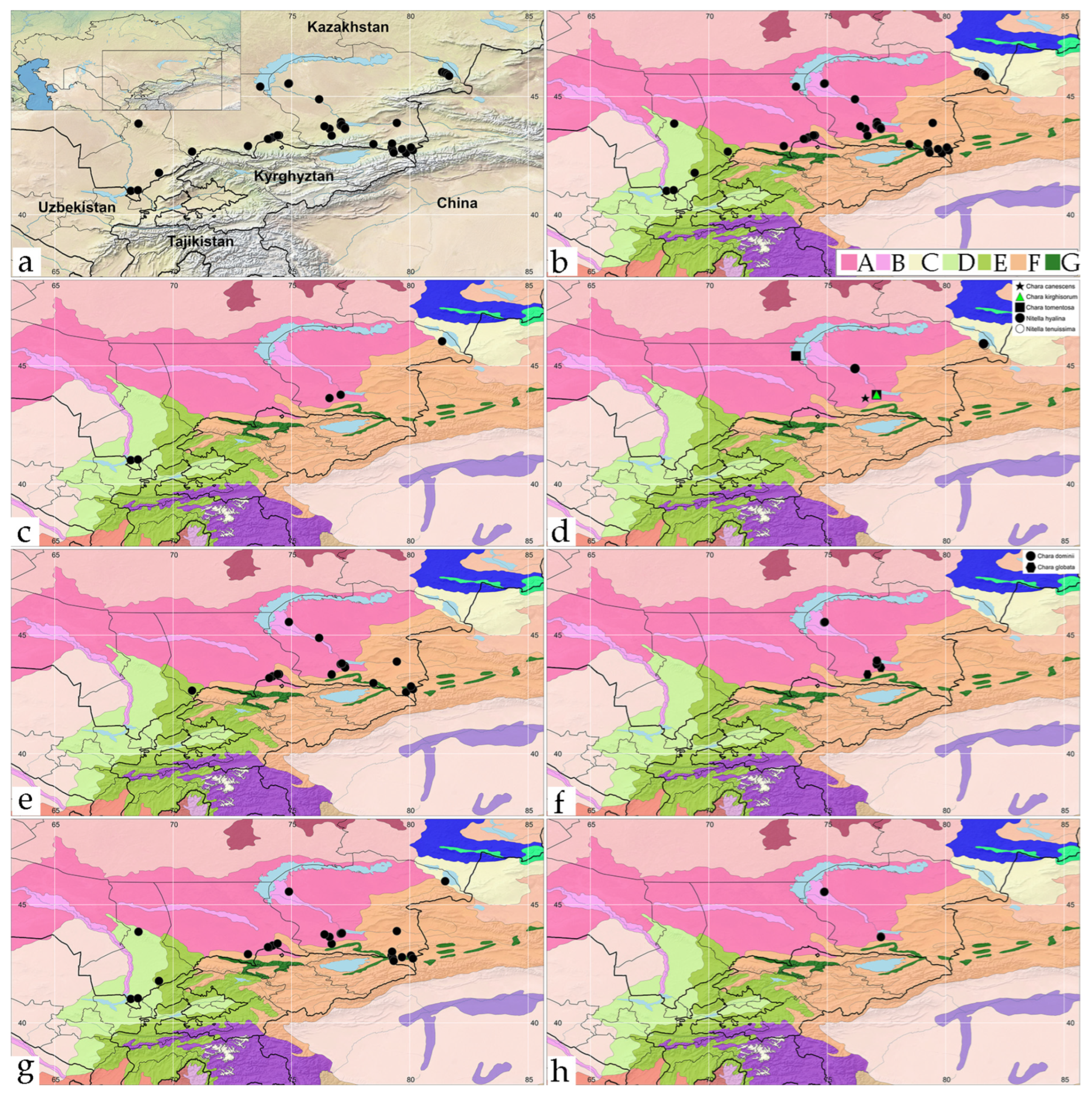 Plants 12 00368 g001 Plants 12 00368 g001