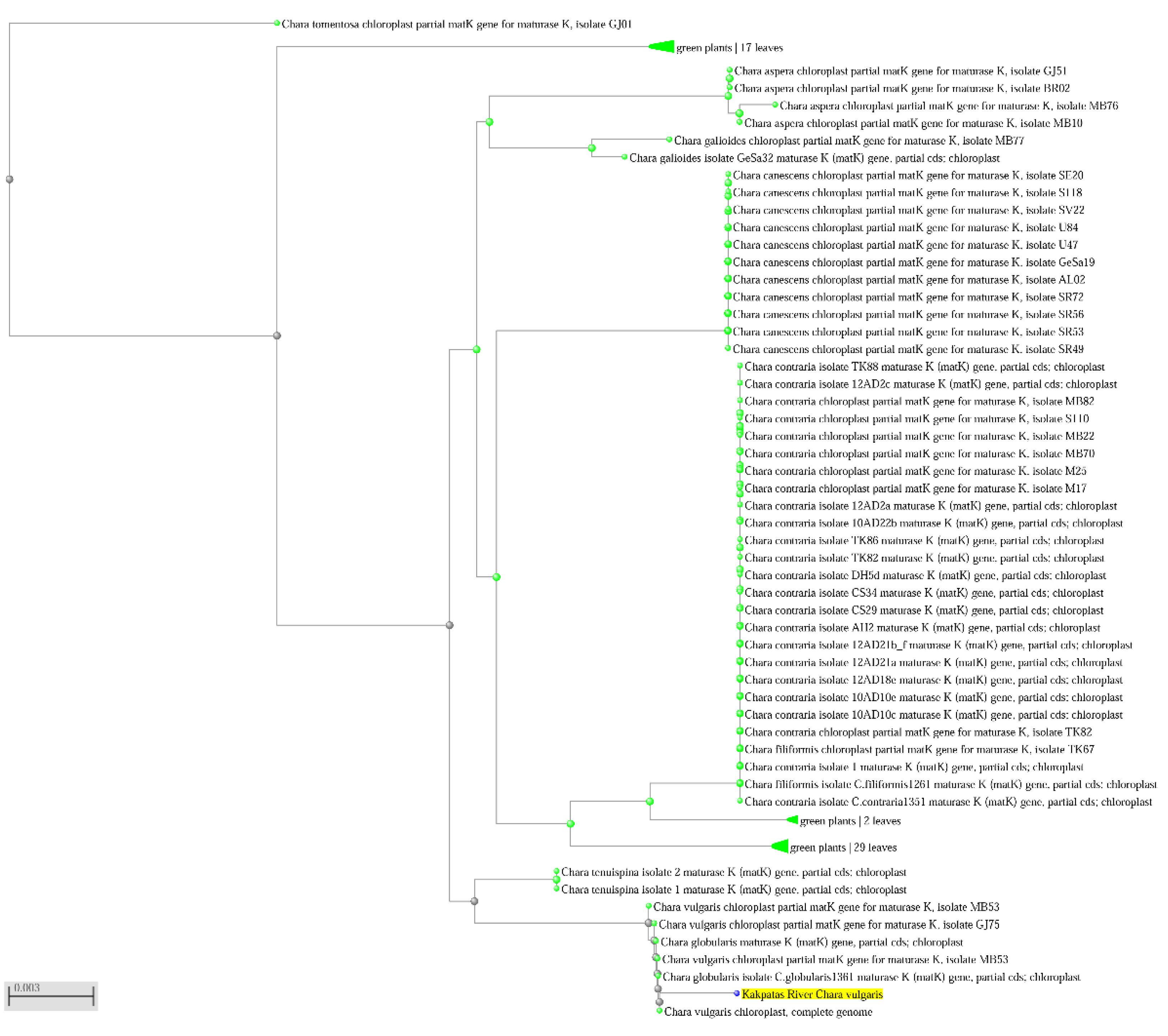 Plants 12 00368 g006 Plants 12 00368 g006