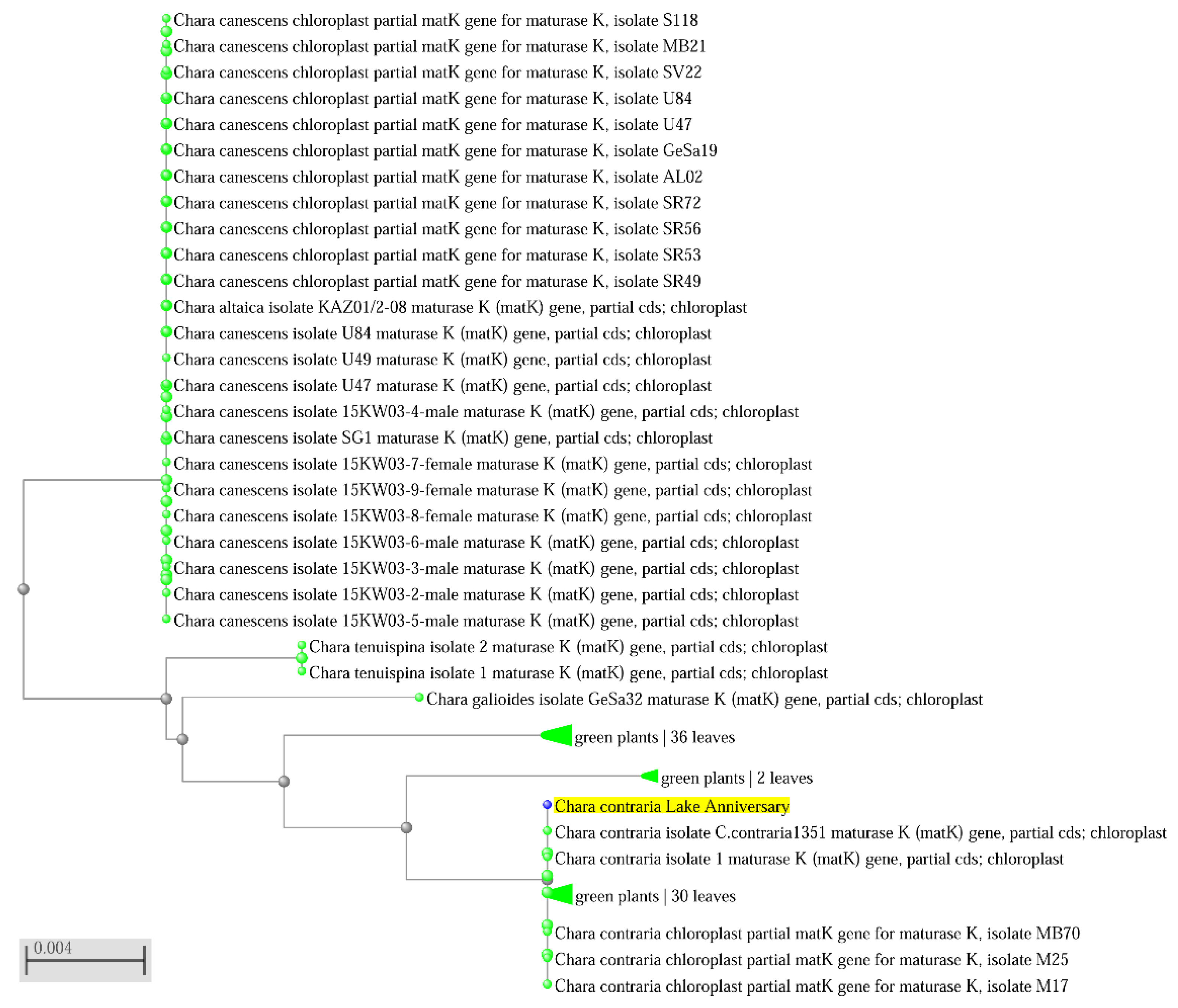 Plants 12 00368 g007 Plants 12 00368 g007