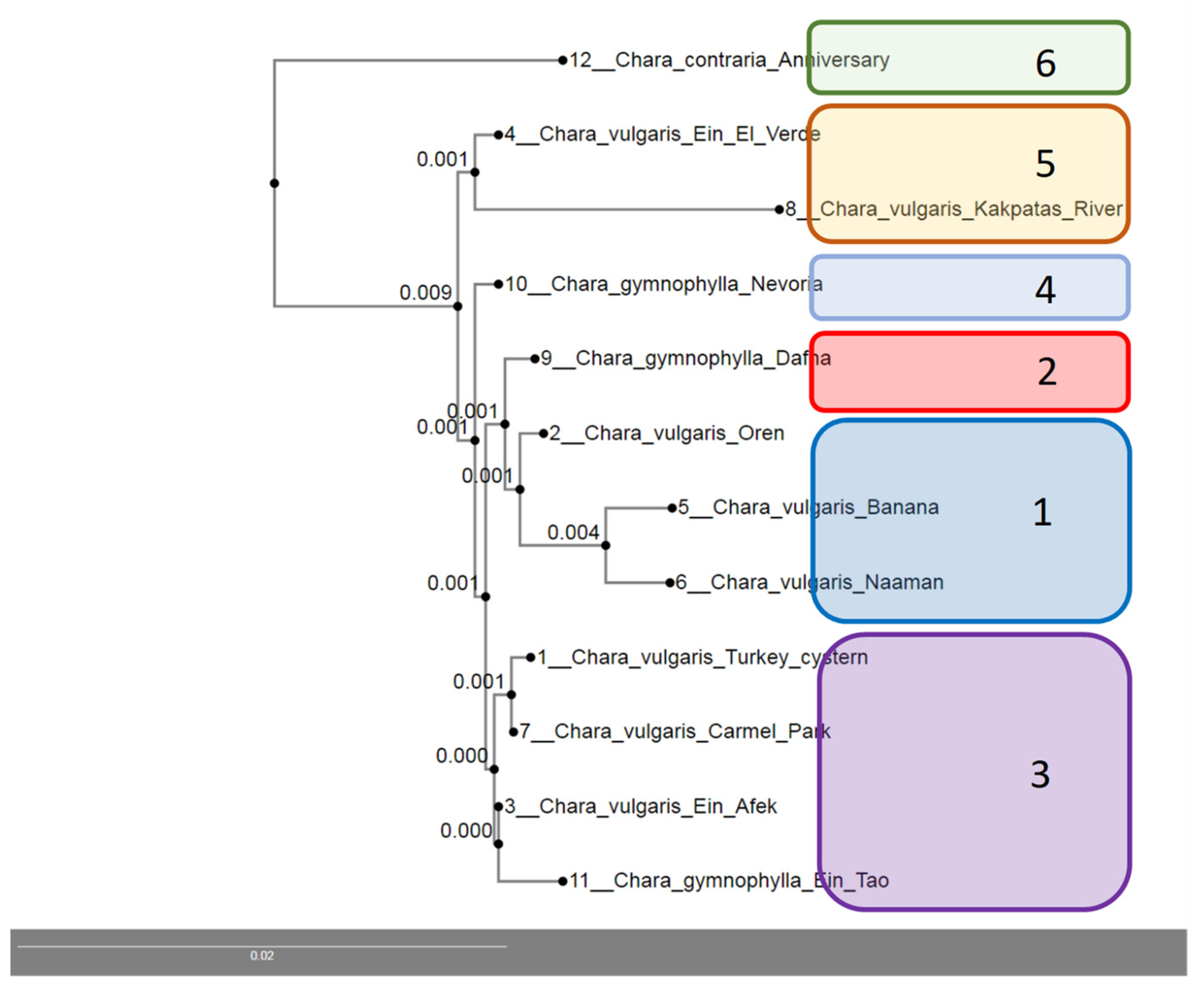 Plants 12 00368 g008 Plants 12 00368 g008