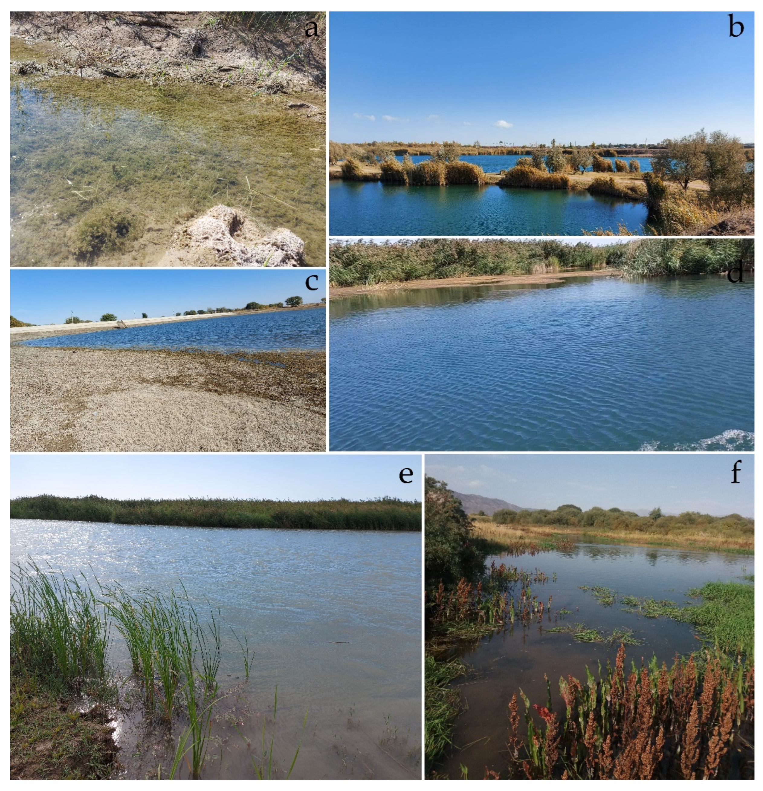 Plants 12 00368 g0a1 Plants 12 00368 g0a1