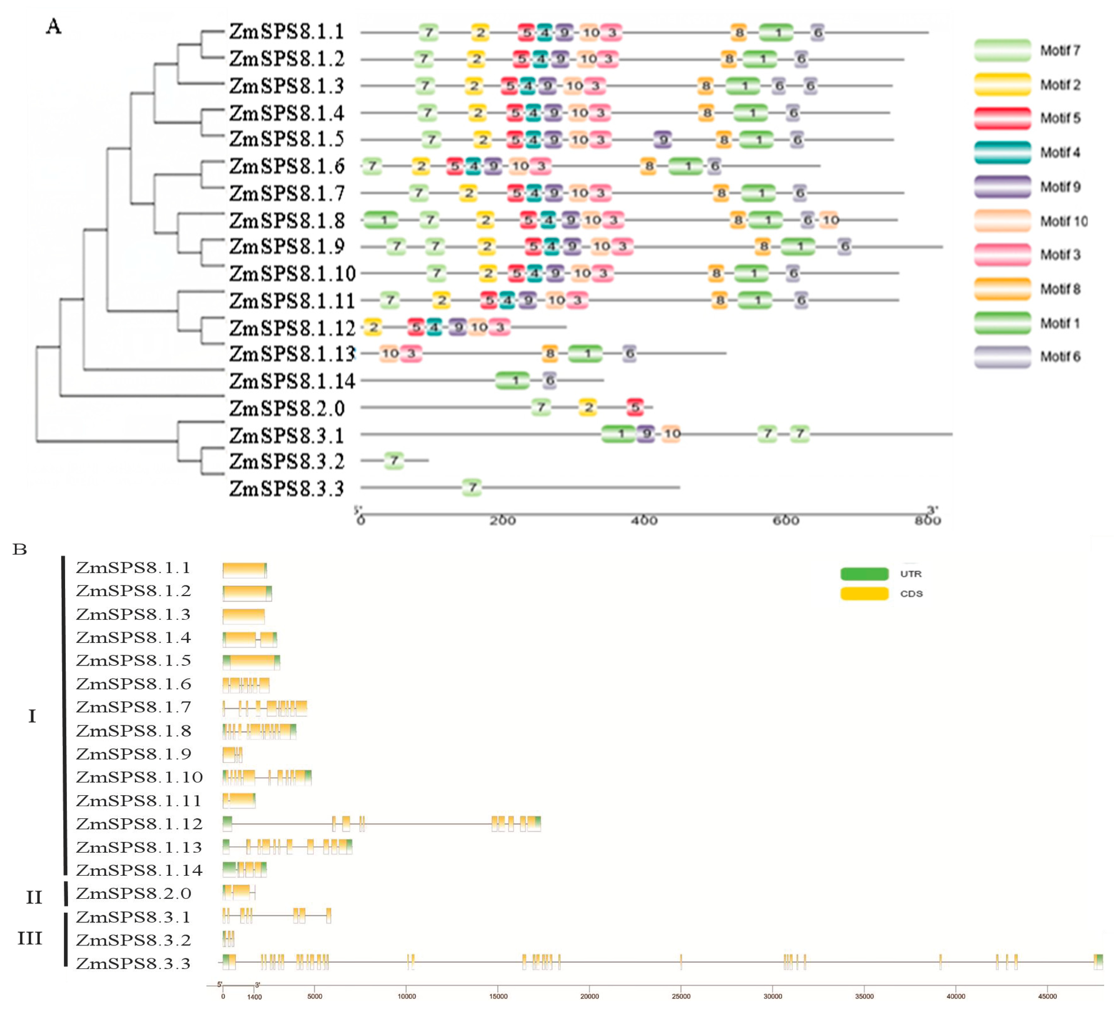 Plants 12 00369 g001 Plants 12 00369 g001