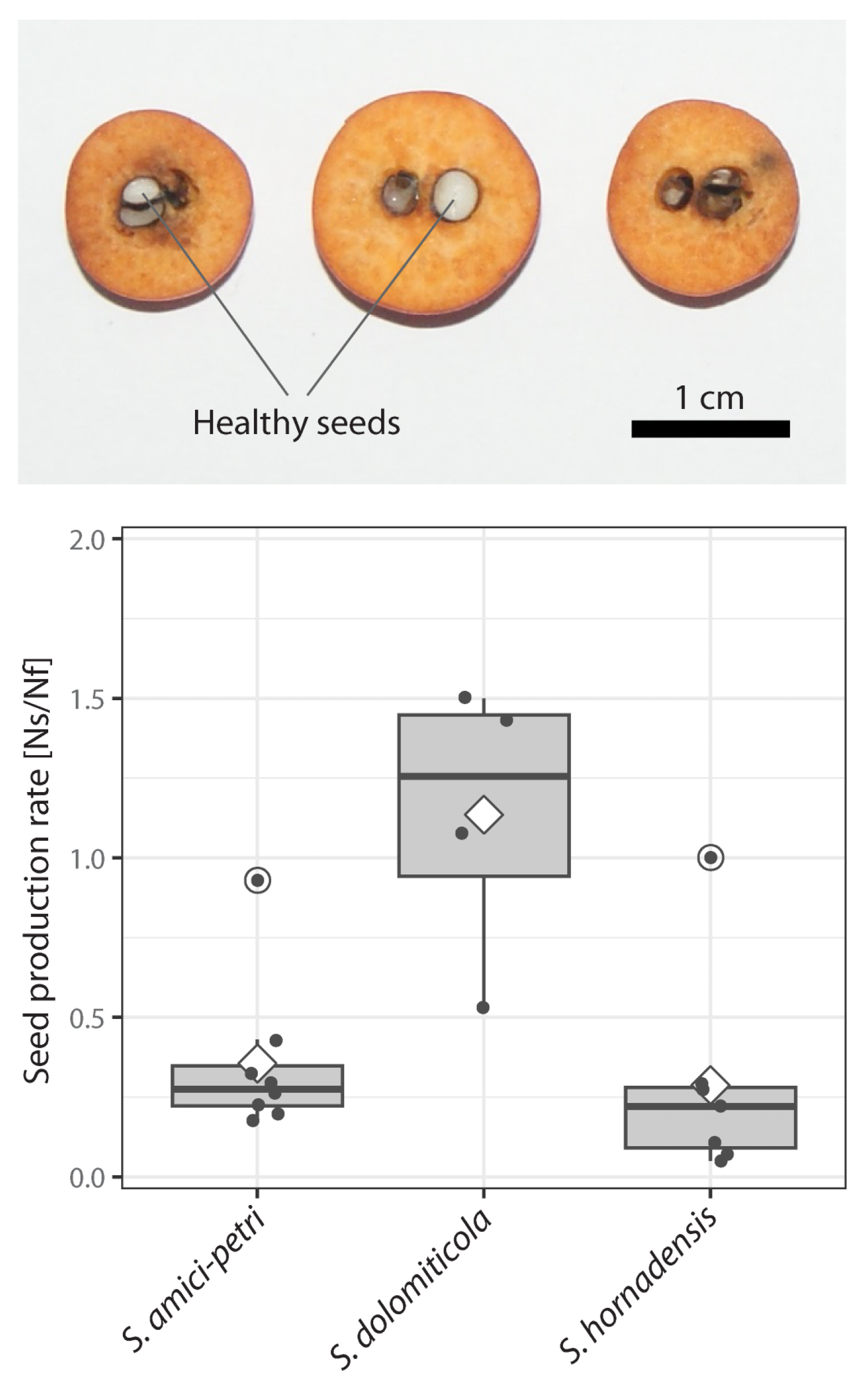 Plants 12 00373 g003