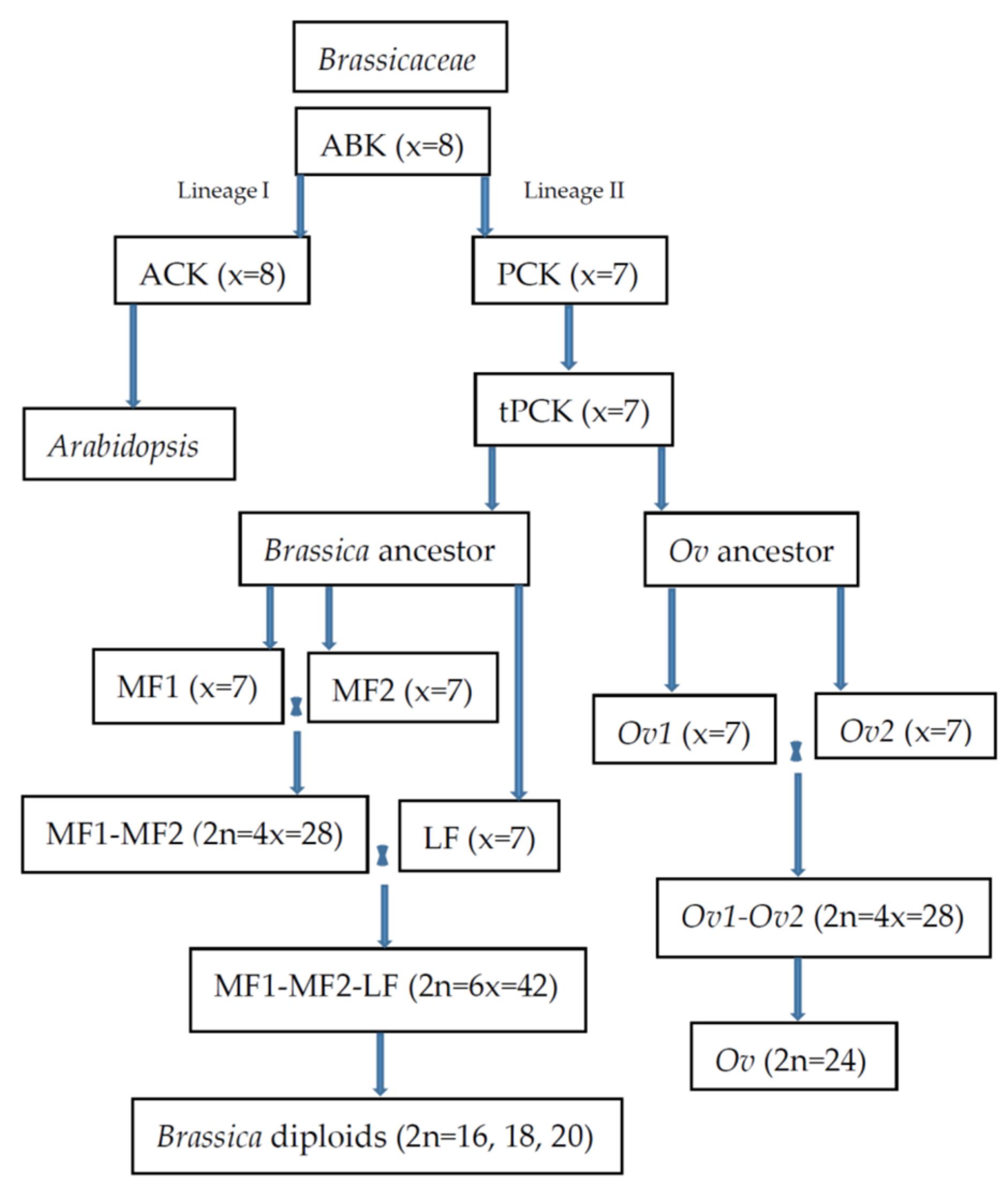 Plants 12 00374 g001 Plants 12 00374 g001