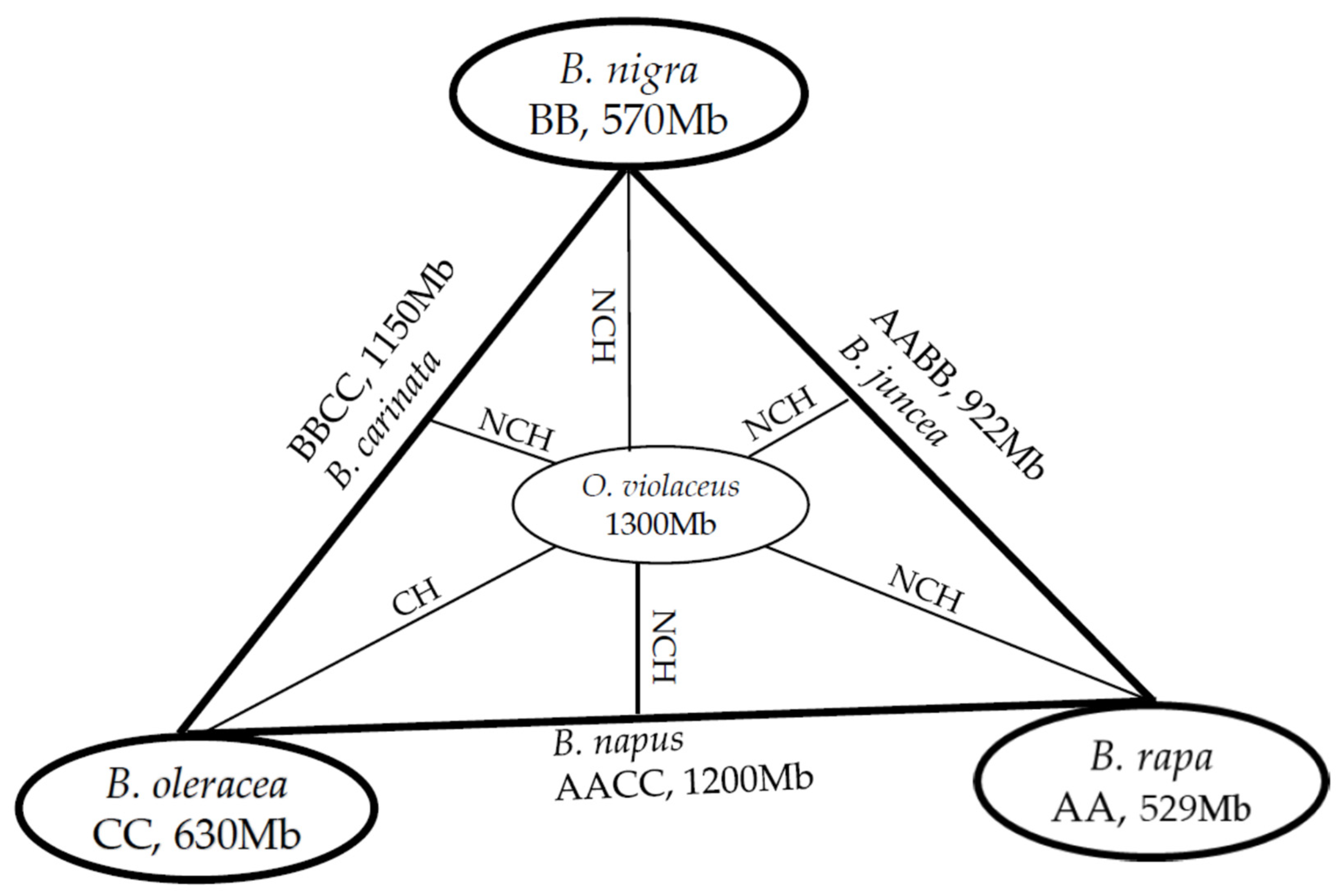 Plants 12 00374 g003 Plants 12 00374 g003