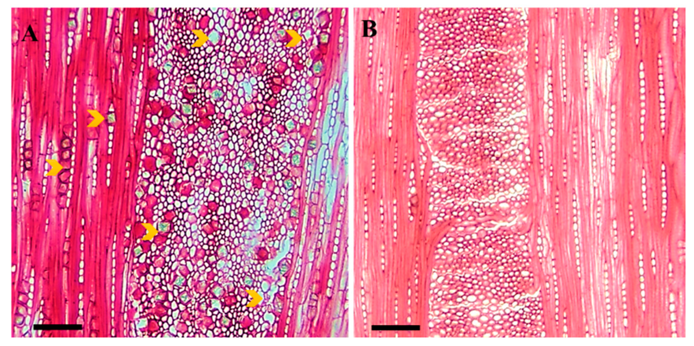 Plants 12 00377 g002