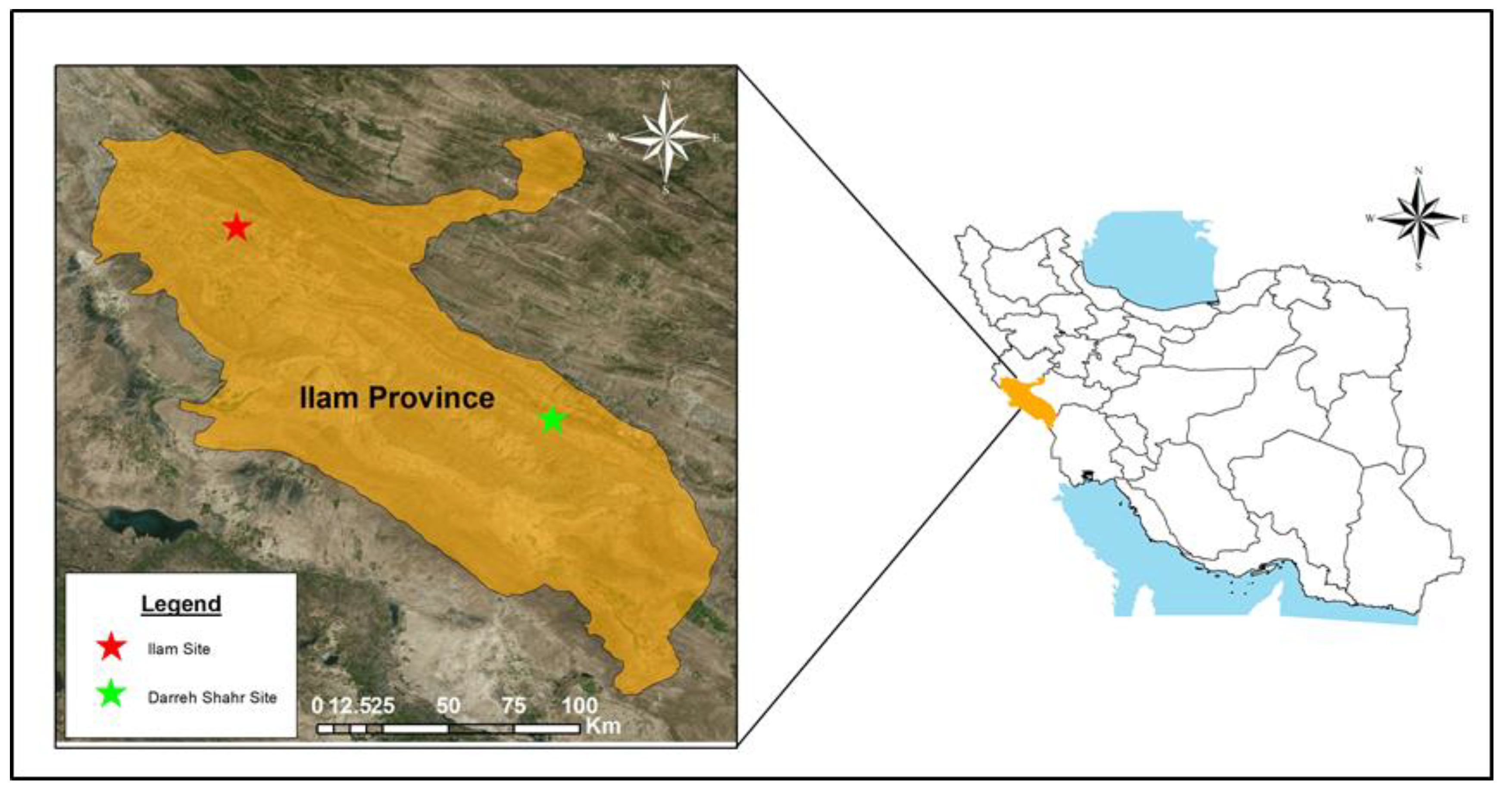 Plants 12 00377 g004