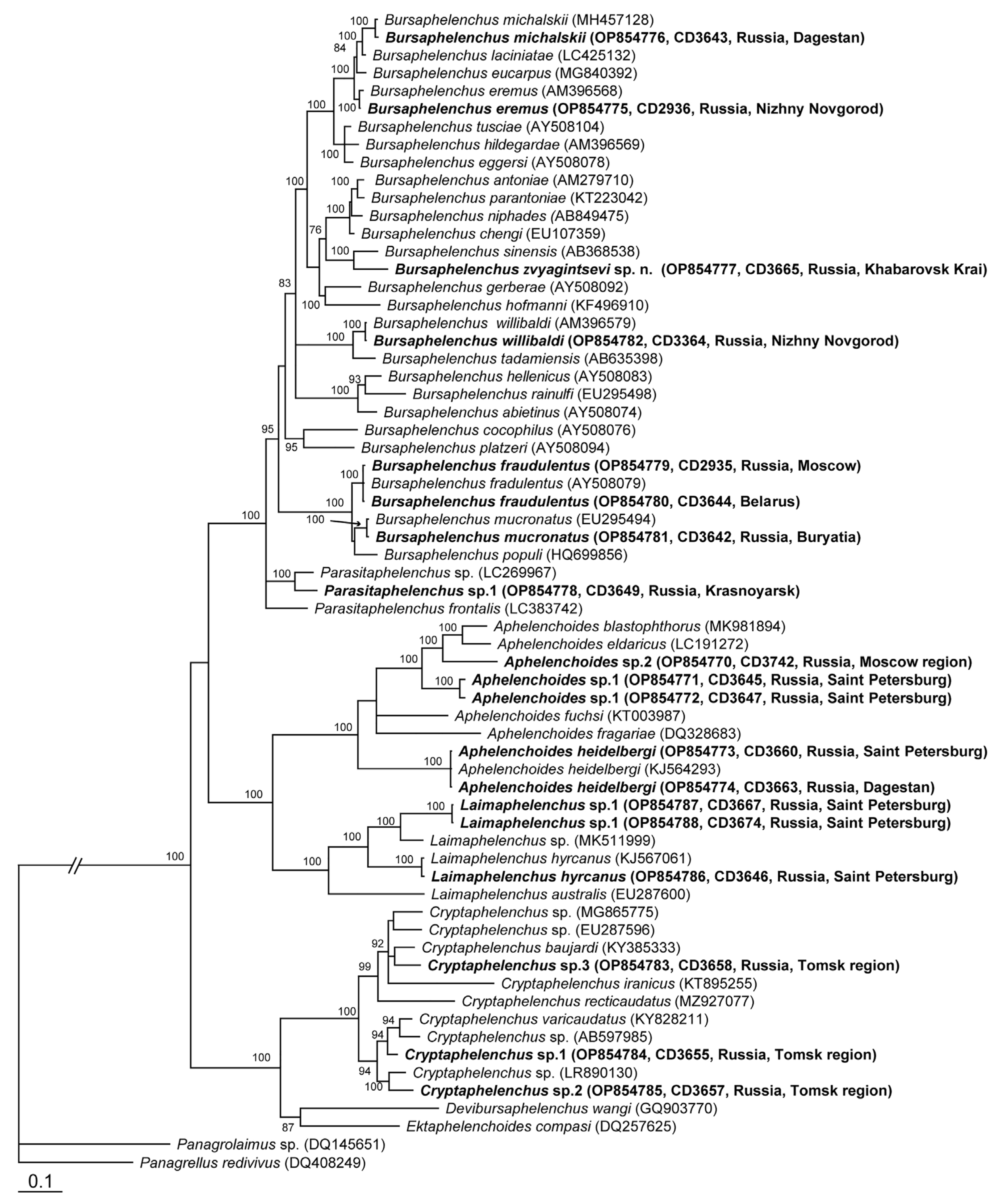 Plants 12 00382 g003 Plants 12 00382 g003
