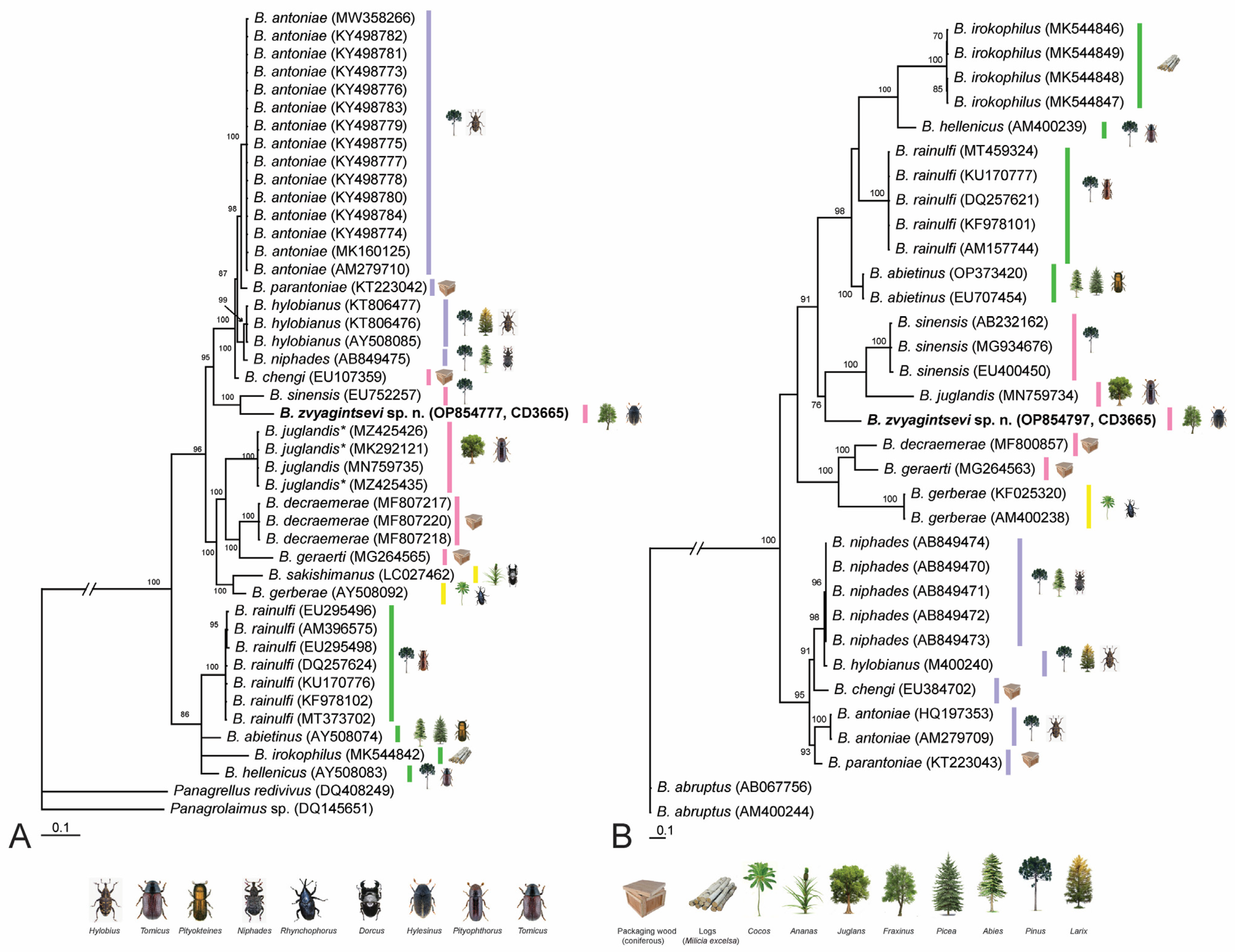 Plants 12 00382 g004 Plants 12 00382 g004