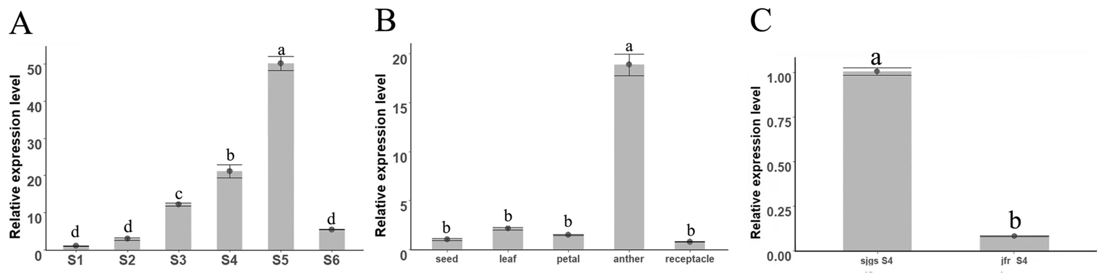 Plants 12 00387 g004