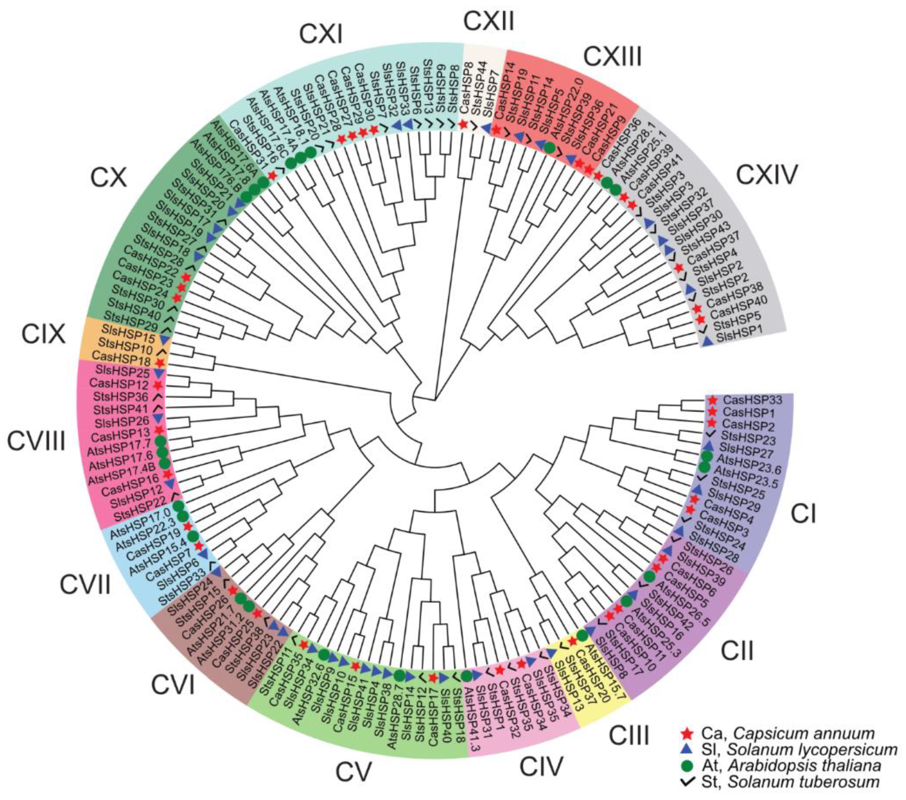Plants 12 00389 g003 Plants 12 00389 g003