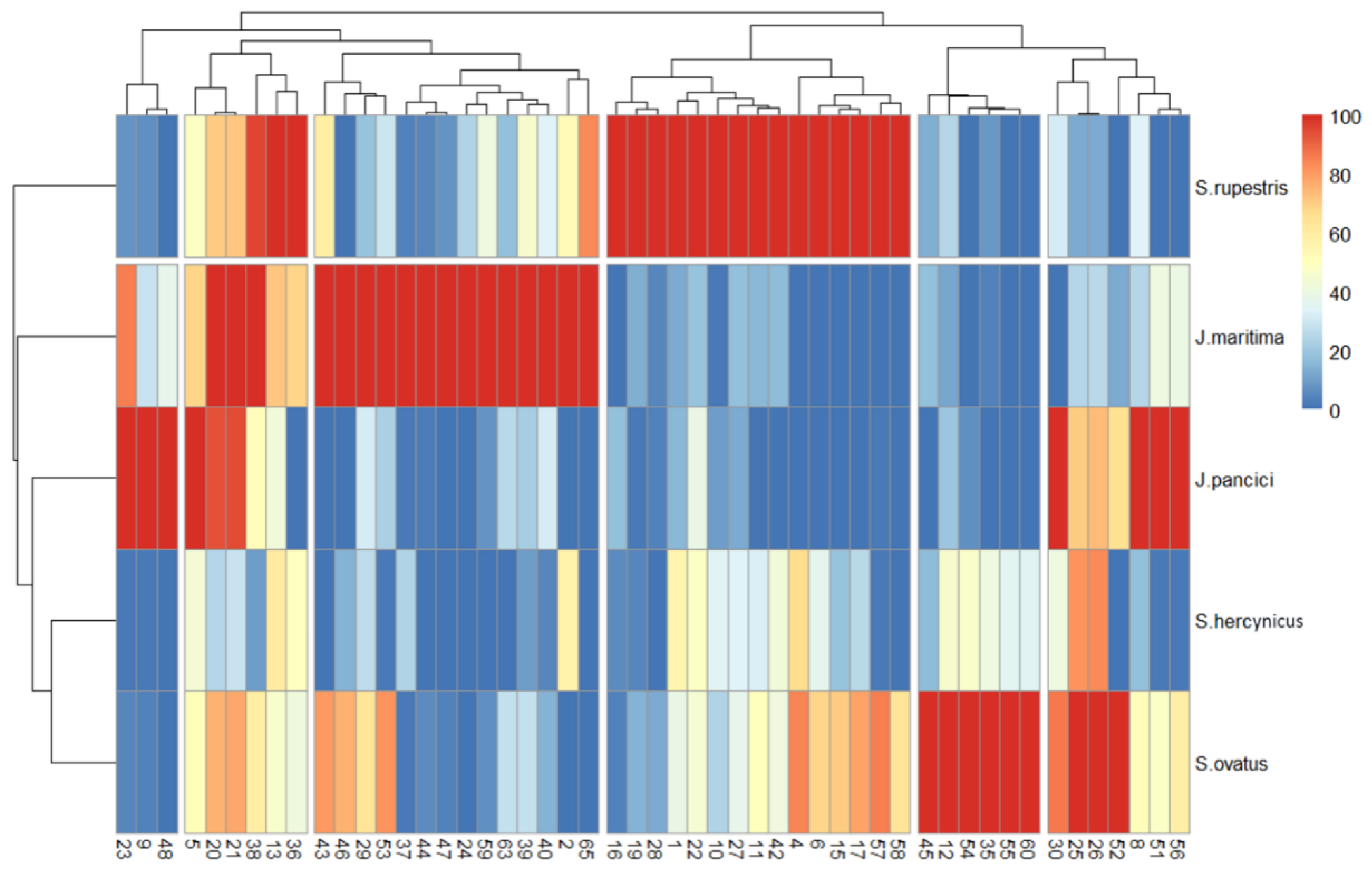 Plants 12 00390 g003 Plants 12 00390 g003