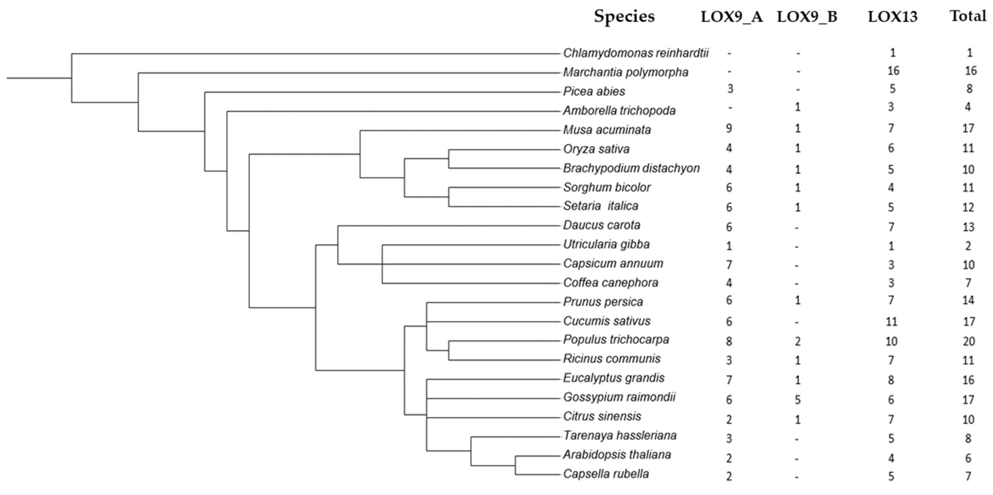Plants 12 00398 g001 Plants 12 00398 g001