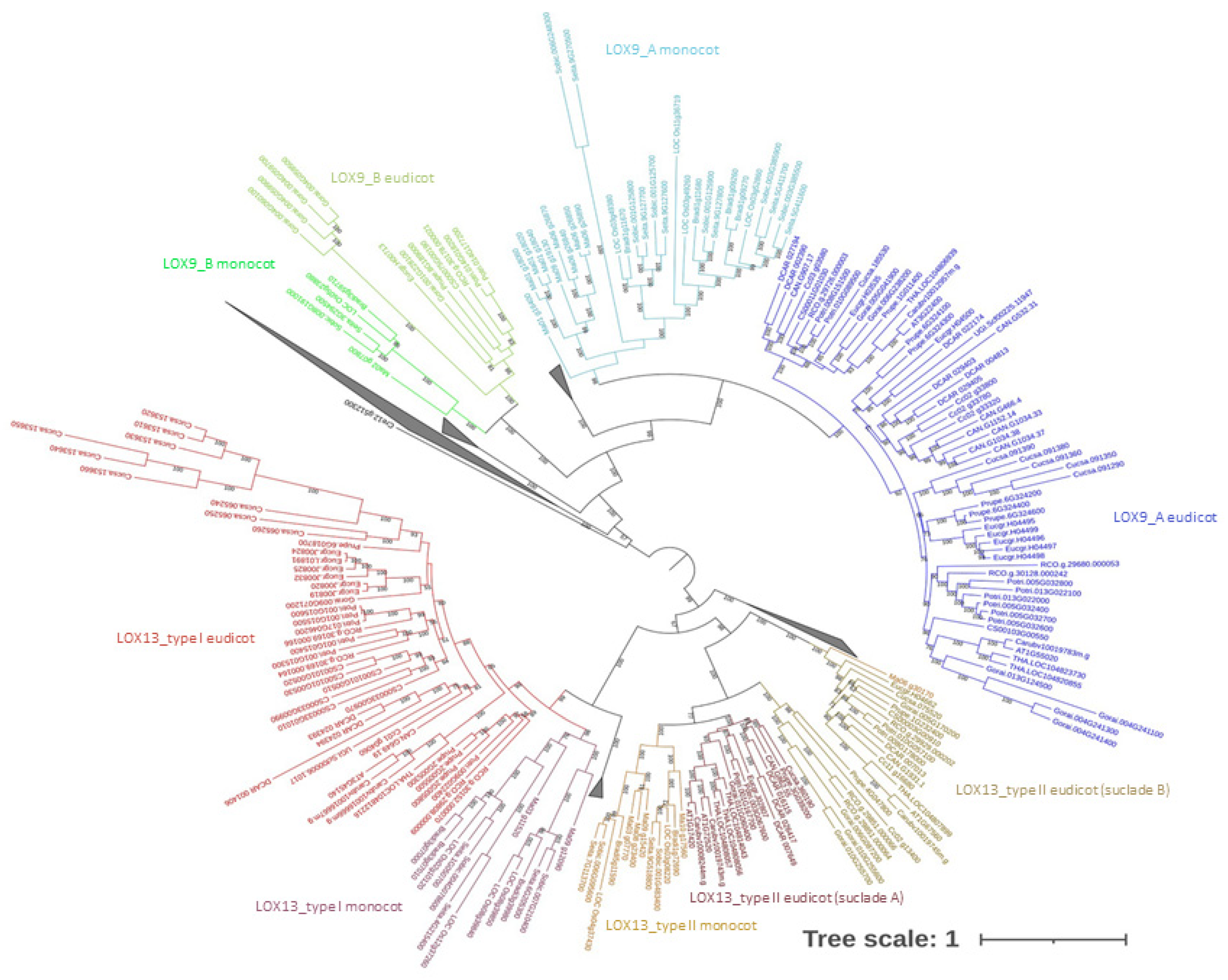 Plants 12 00398 g002 Plants 12 00398 g002