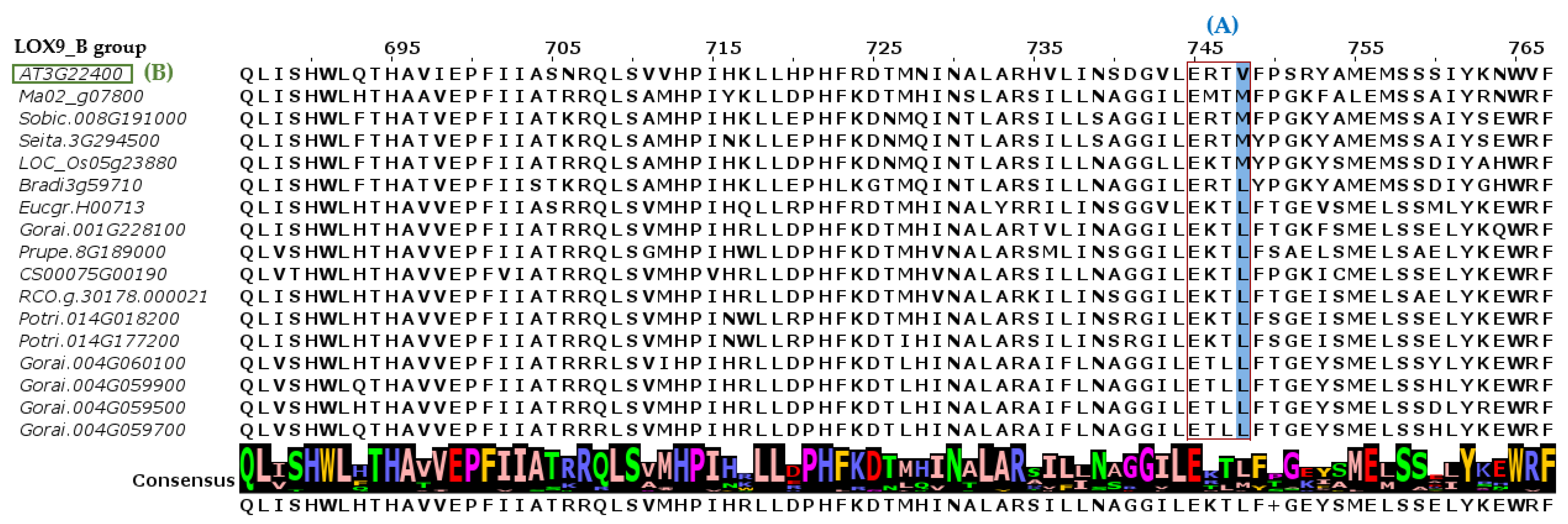 Plants 12 00398 g003 Plants 12 00398 g003